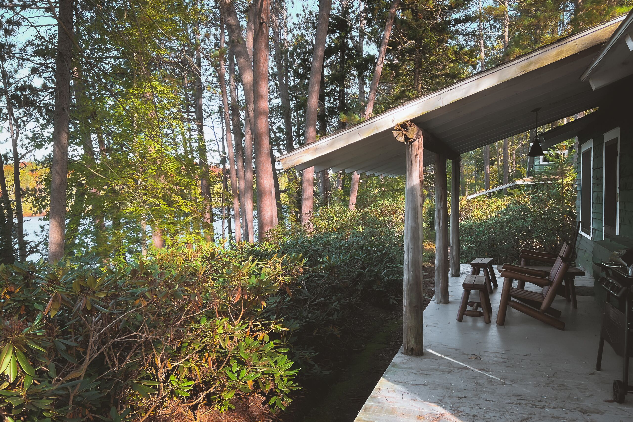 Signature Cabin 2 with Lake View