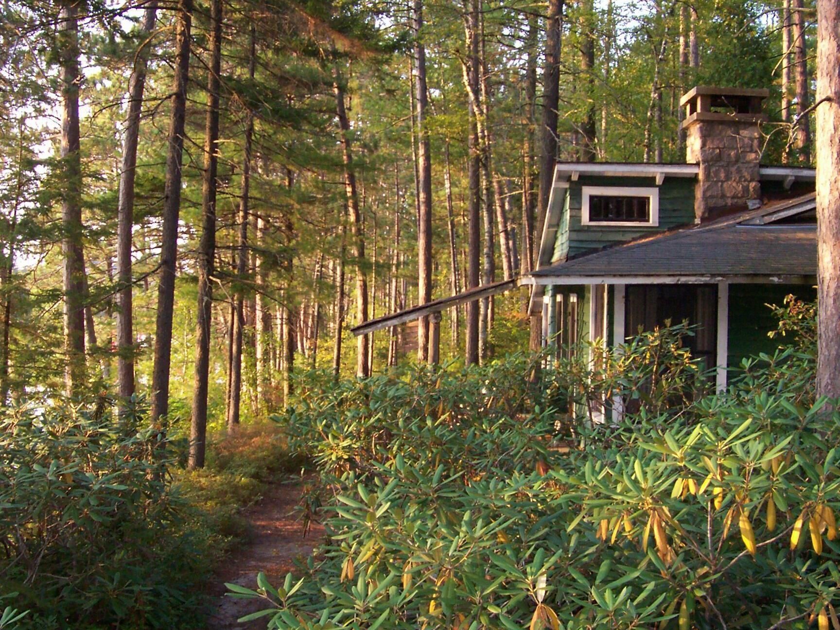 Signature Cabin 3 with Lake View