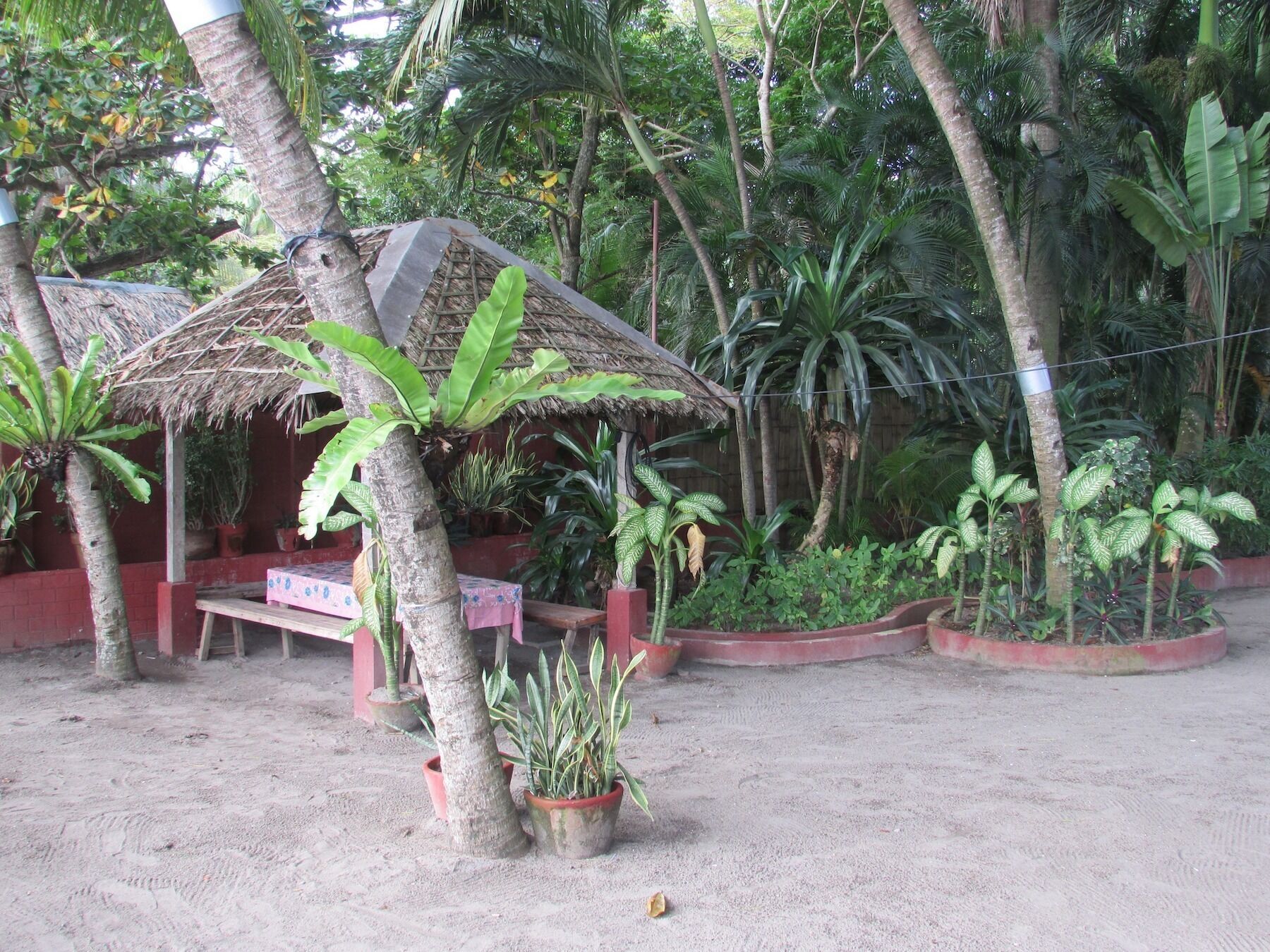 NEWLY RENOVATED!!! Felipa Beach - Kalachuchi