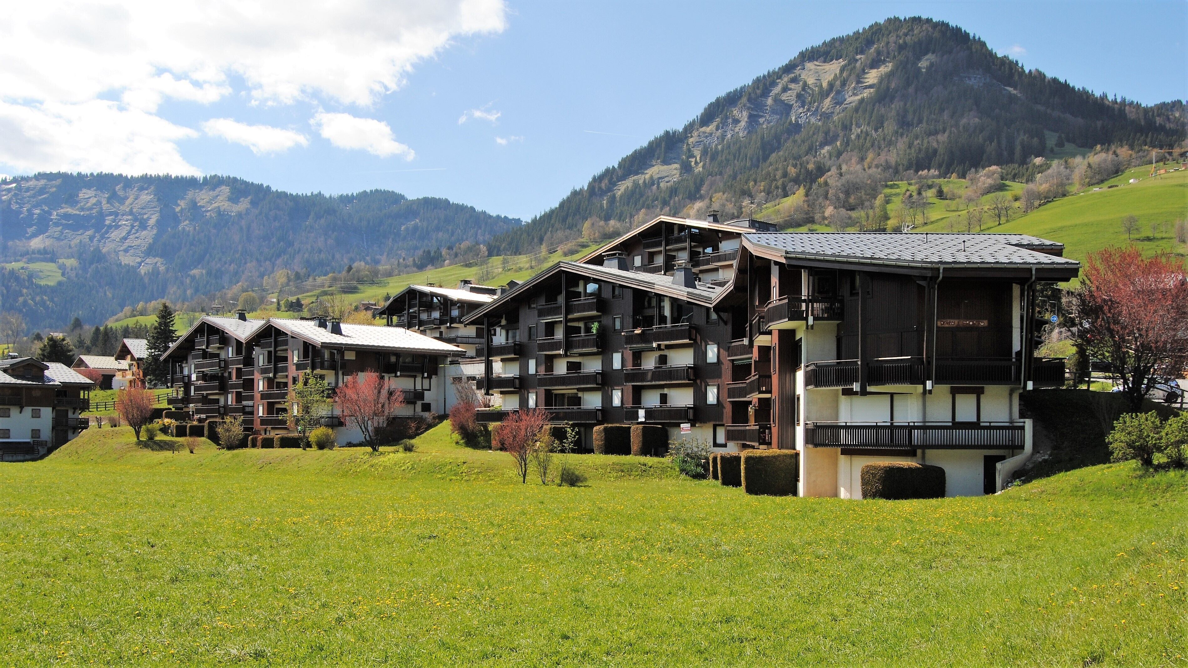 PAYS DU MONT-BLANC - STUDIO PLEIN SUD