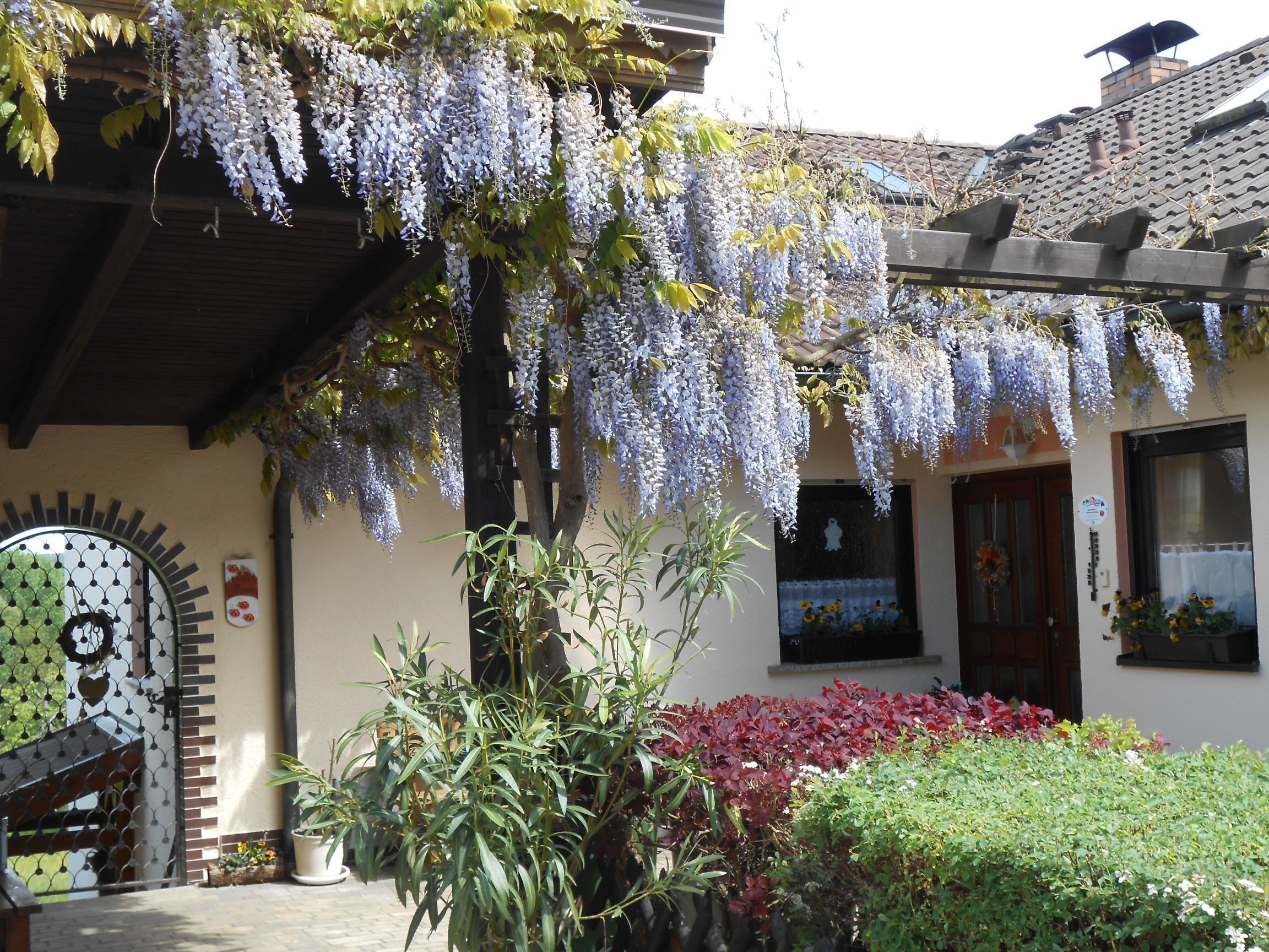 Comfortable apartment (55m2) with terrace and garden