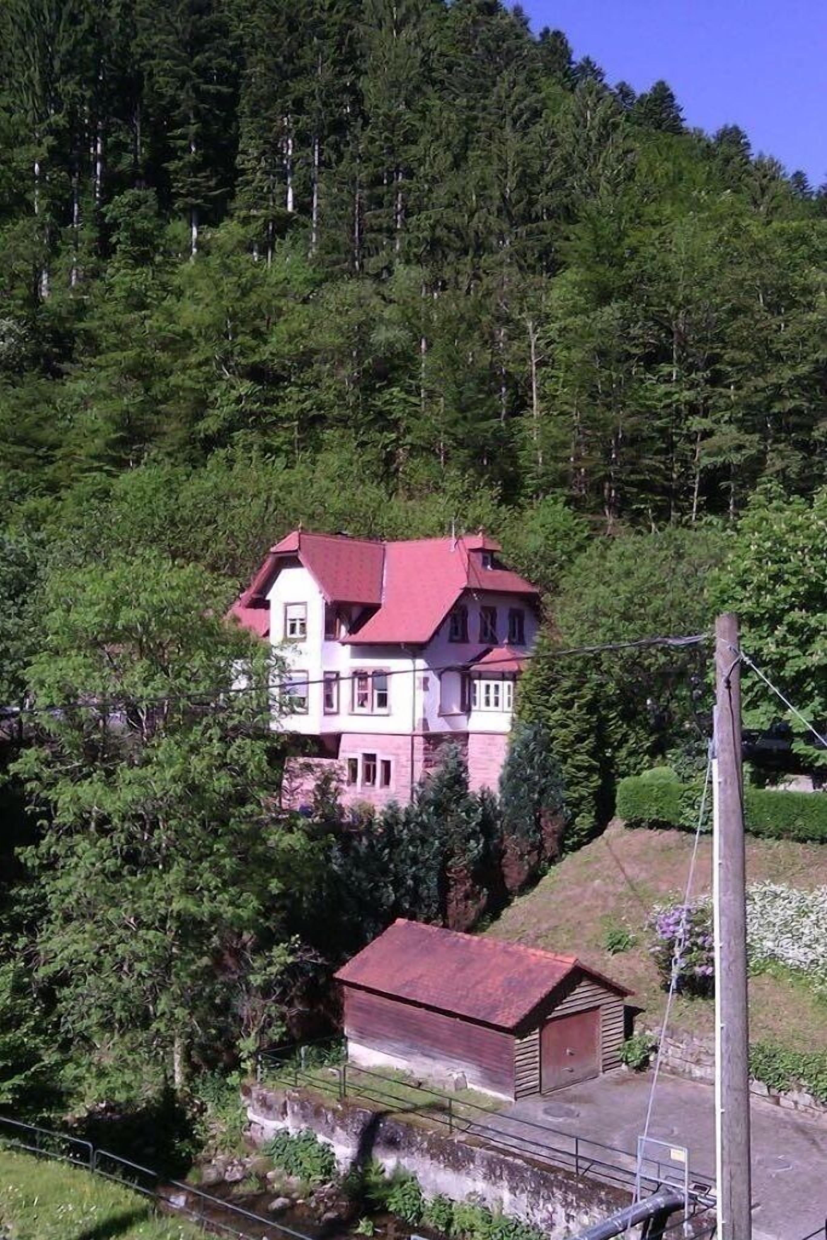 Apartment Black Forest All Saints Waterfalls Oppenau / Renchtal