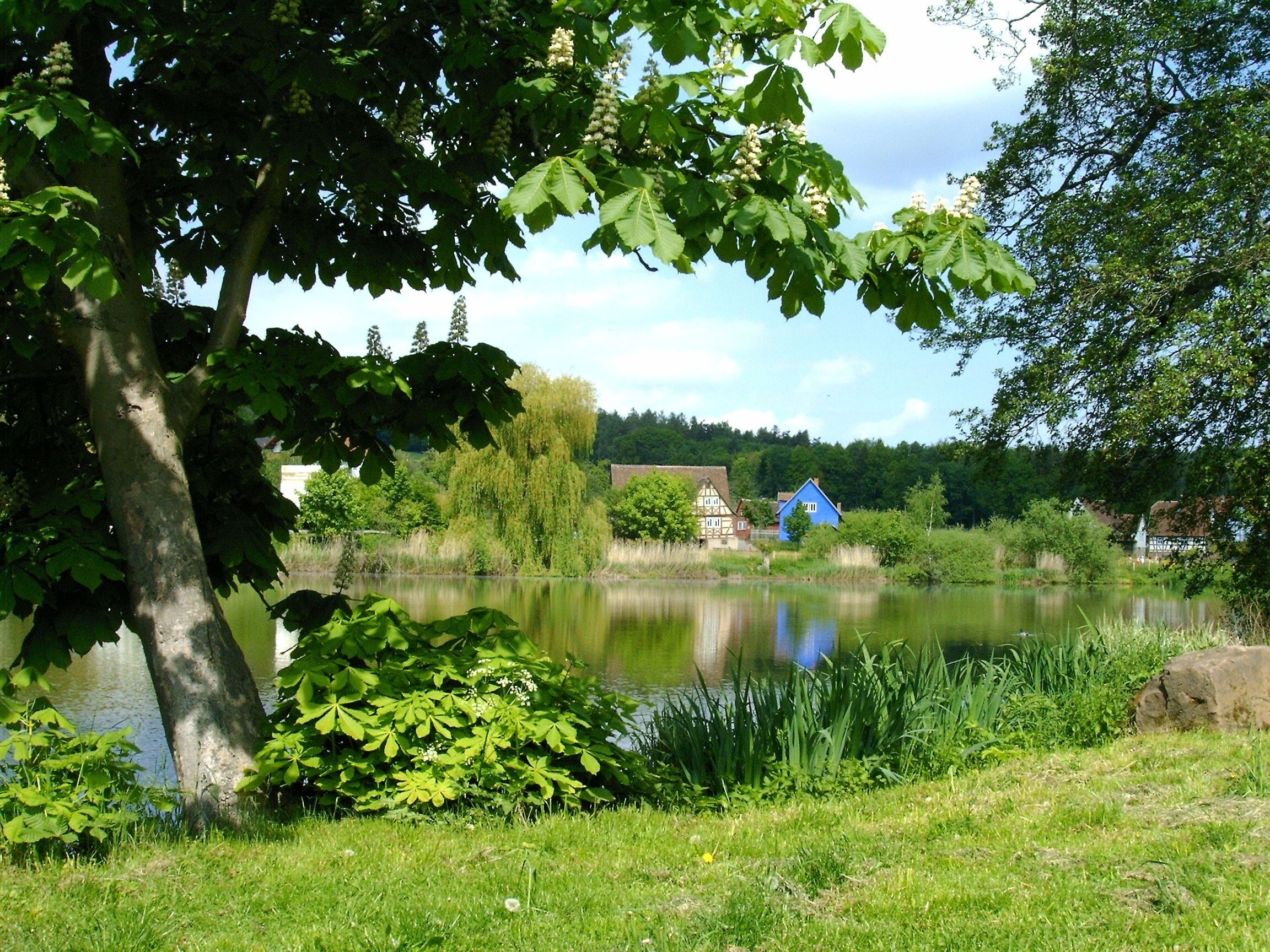Newly designed apartments with a wonderfully idyllic view of the lake!