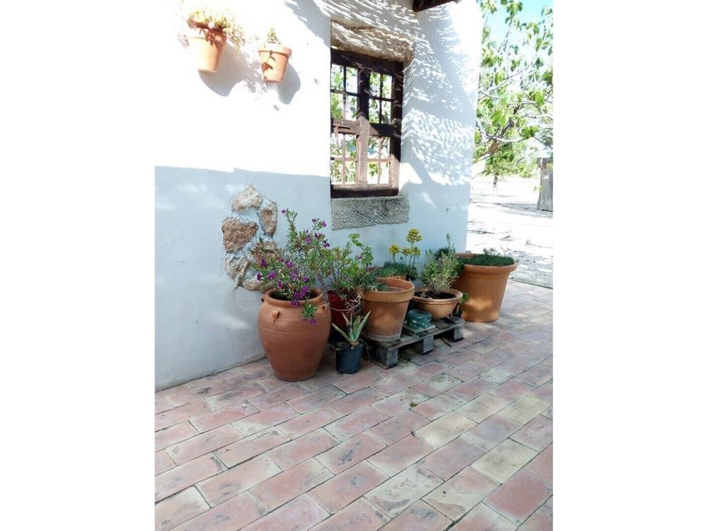 Rural house El Olivar de las Pepinas
