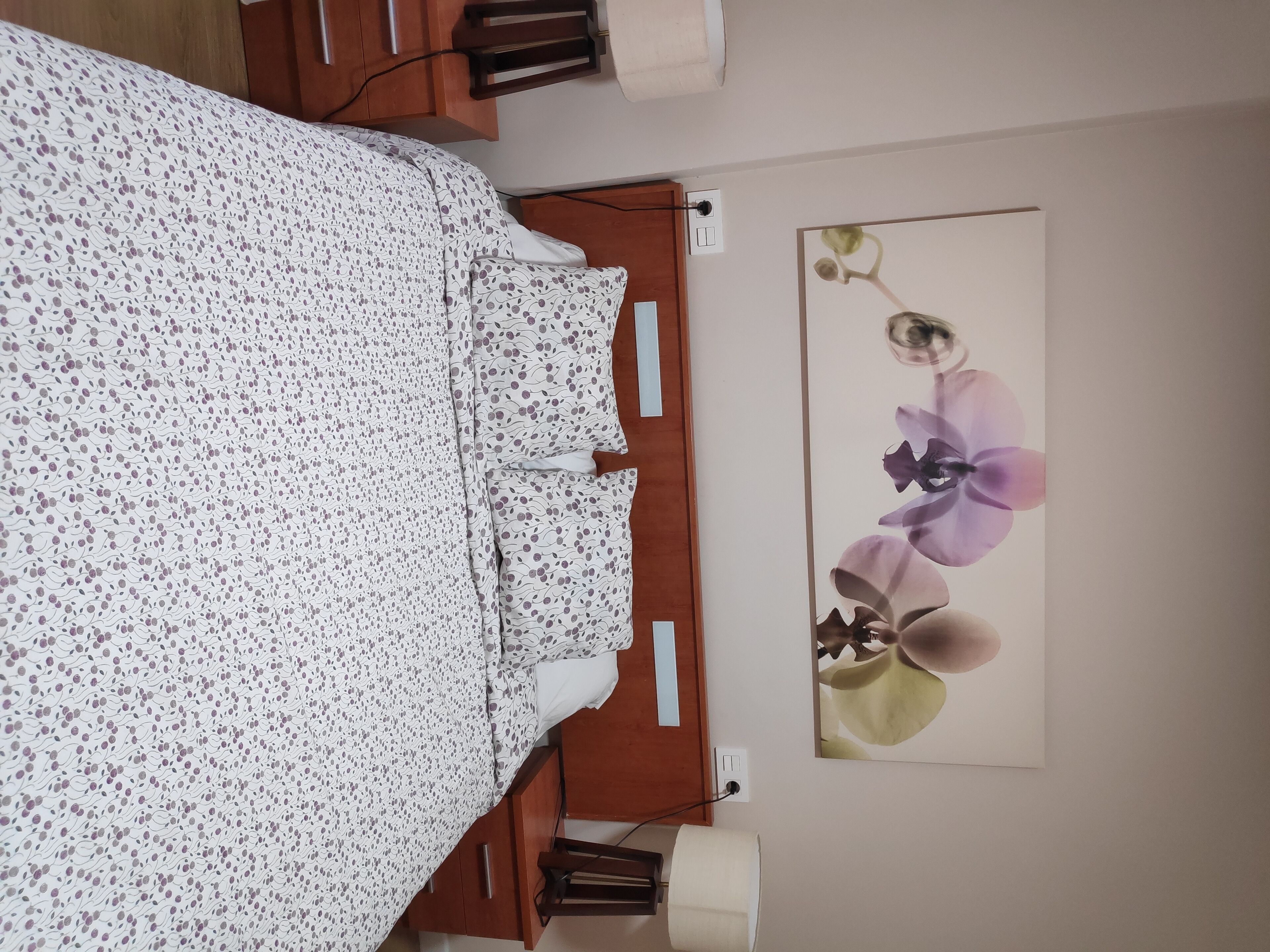 WONDERFUL APARTMENT IN THE CENTER OF OVIEDO