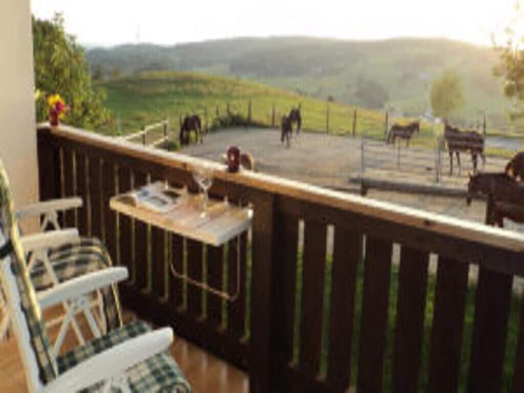 Holidays on the horse farm in the heart of the "Bavarian Tuscany"