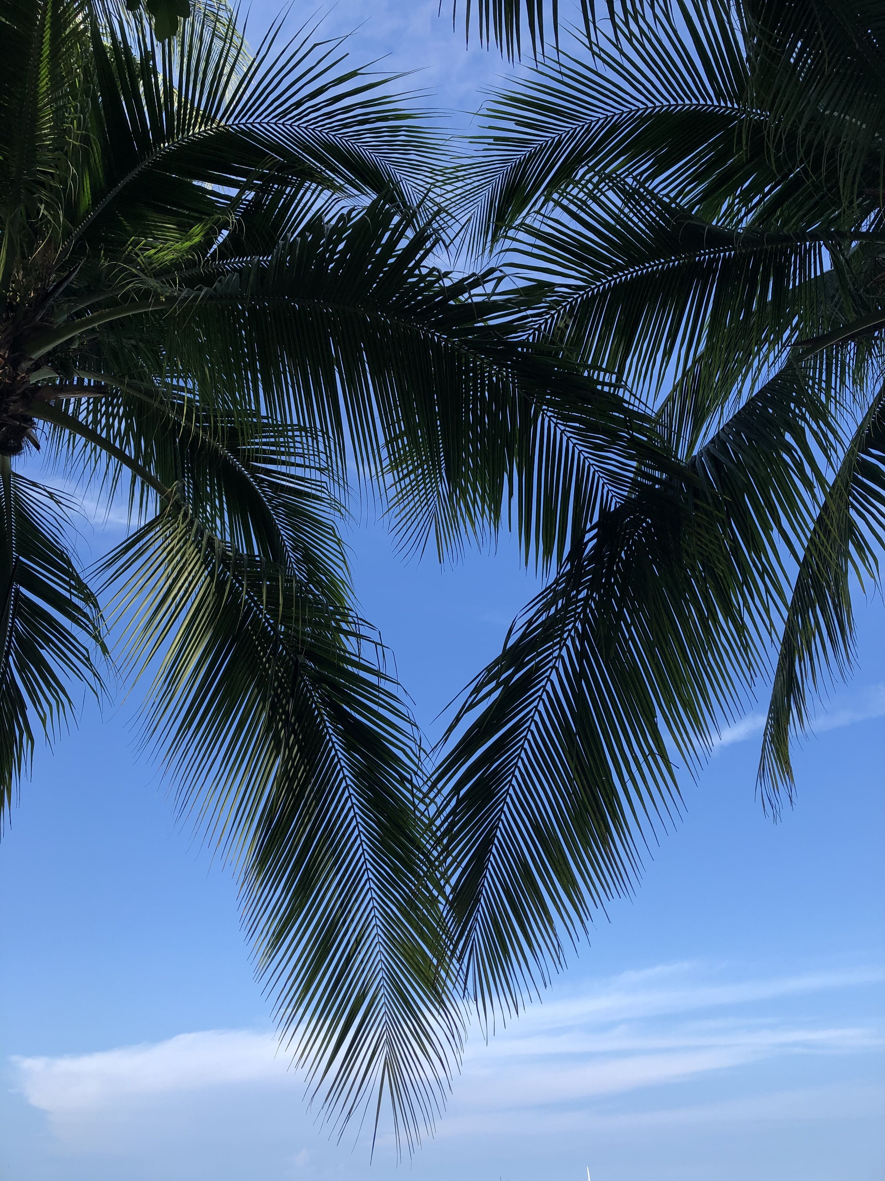 Your Home Away from Home in Vero Beach