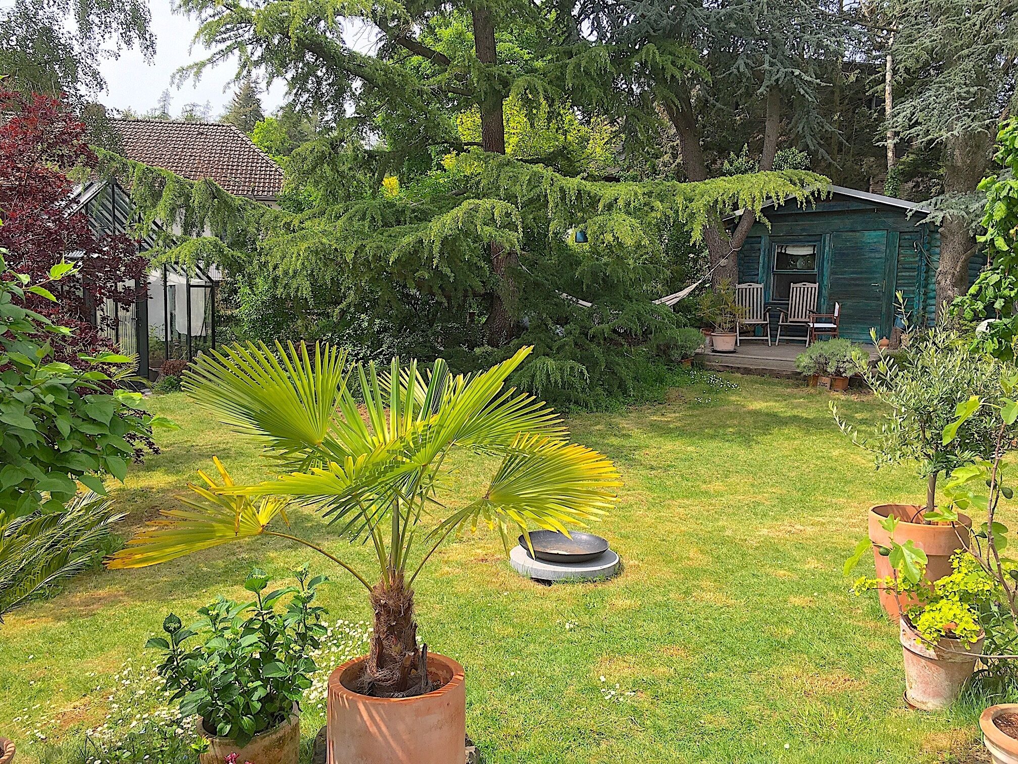 ♥ Studio at the edge of the forest ♥