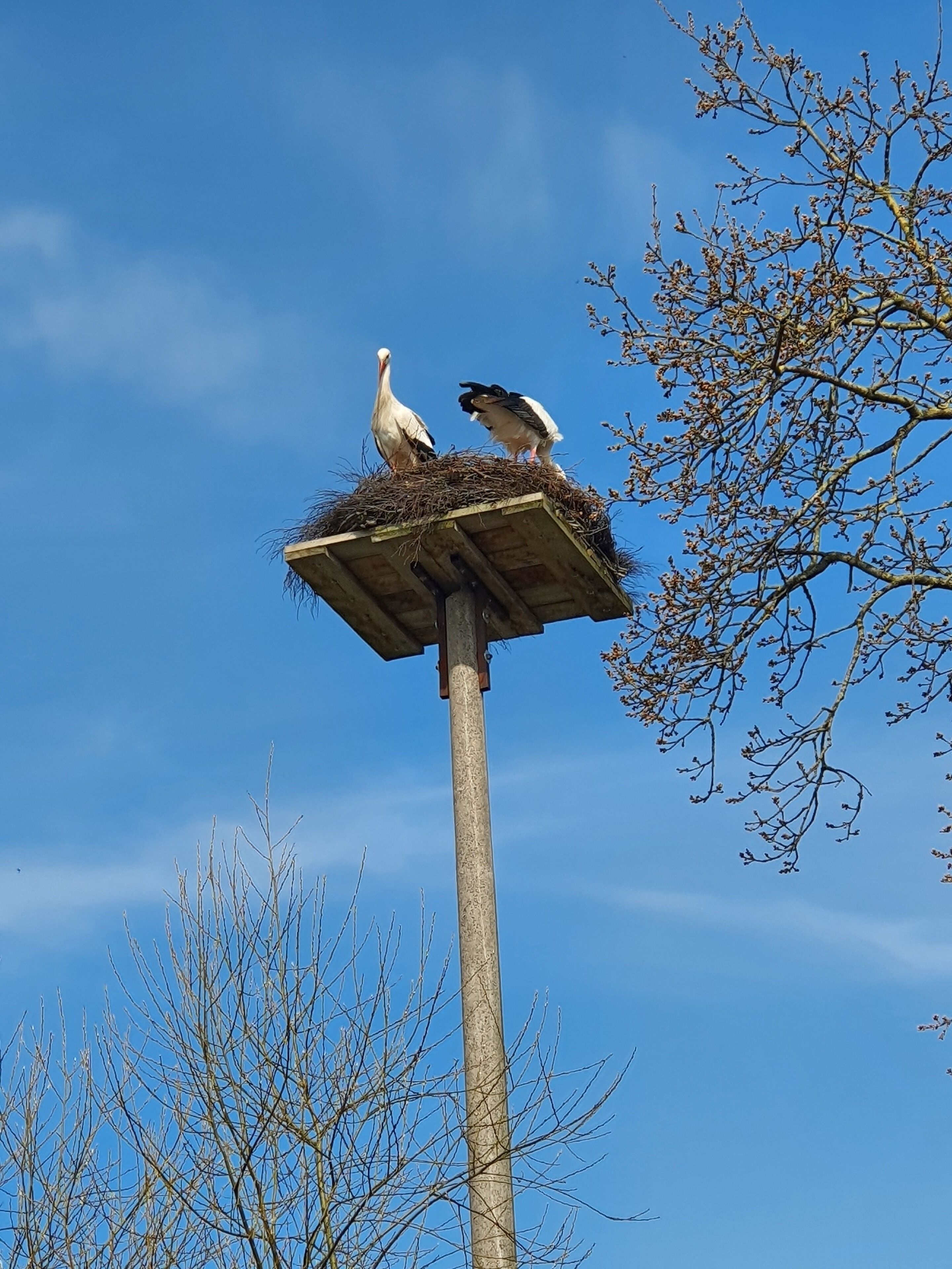 Vacation apartment/apartment for 4 guests with 60m² in Erfde (133437)