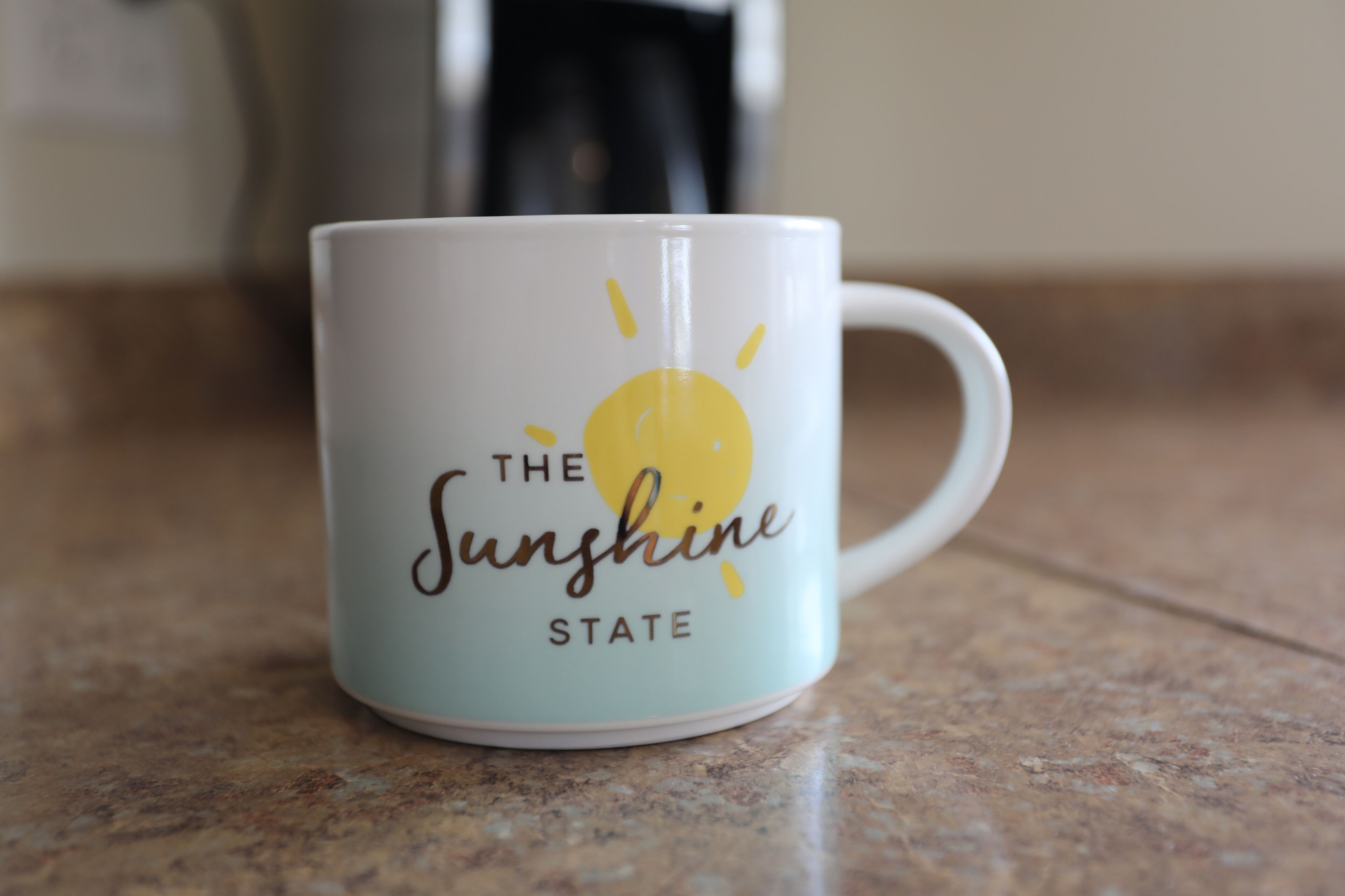 Downtown St. Petersburg carriage house close to Tavern/Pizza/Black Crow Coffee!