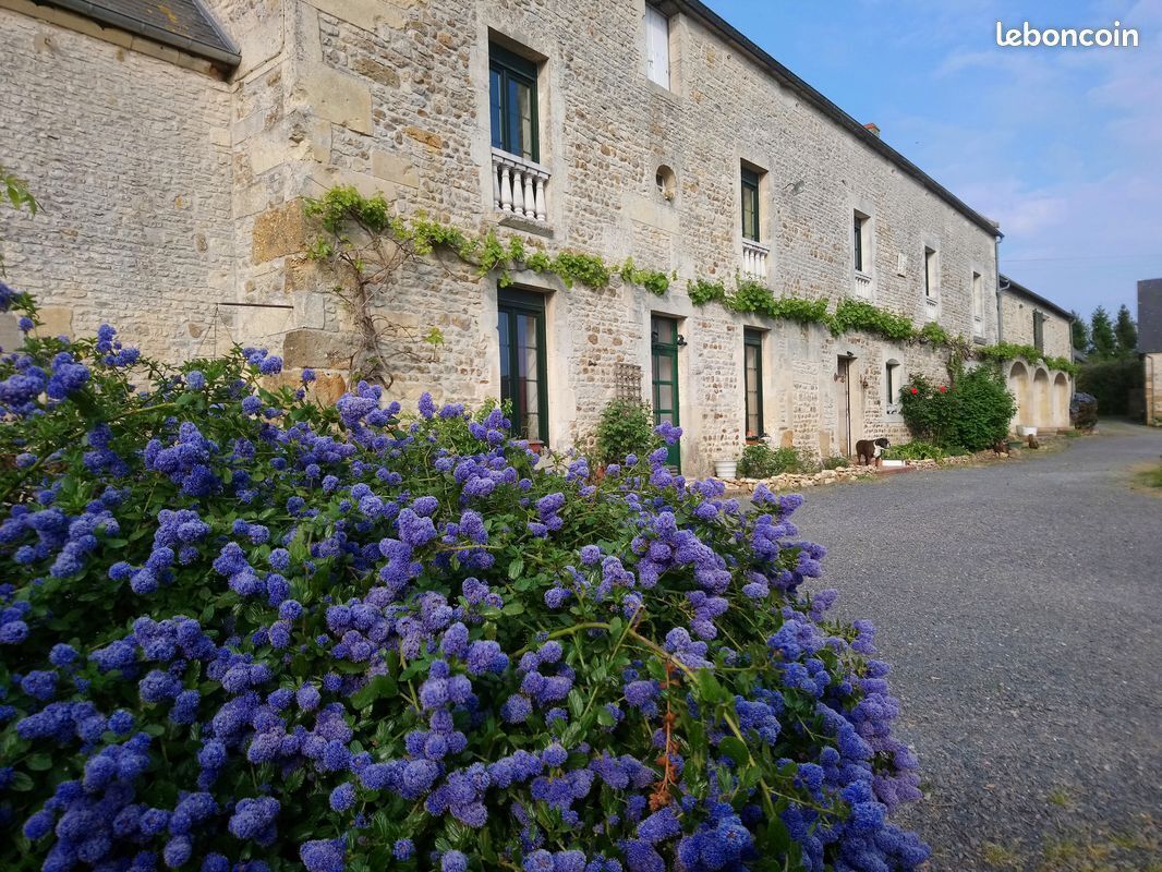 Comfortable cottage 8 people