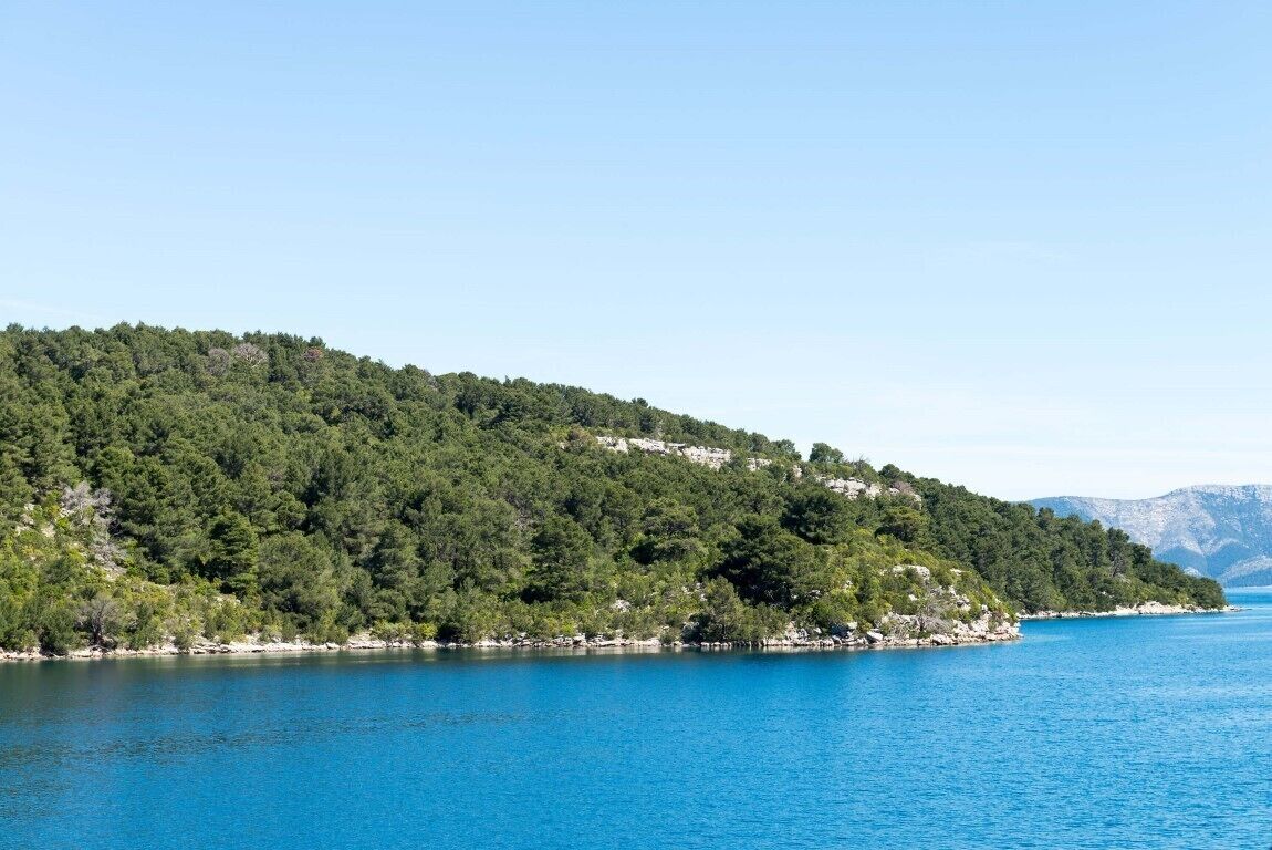 Dream 2BR apartment3#Mljet#seaview