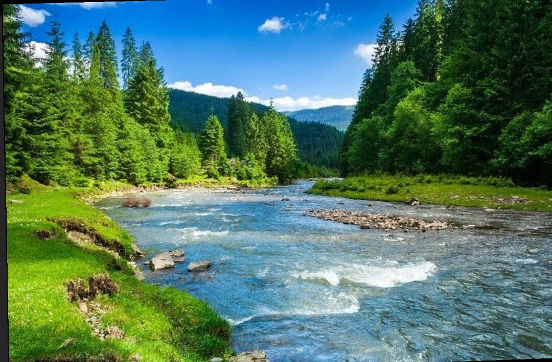 Discover Lakes, Rivers, Tahoe National Forest