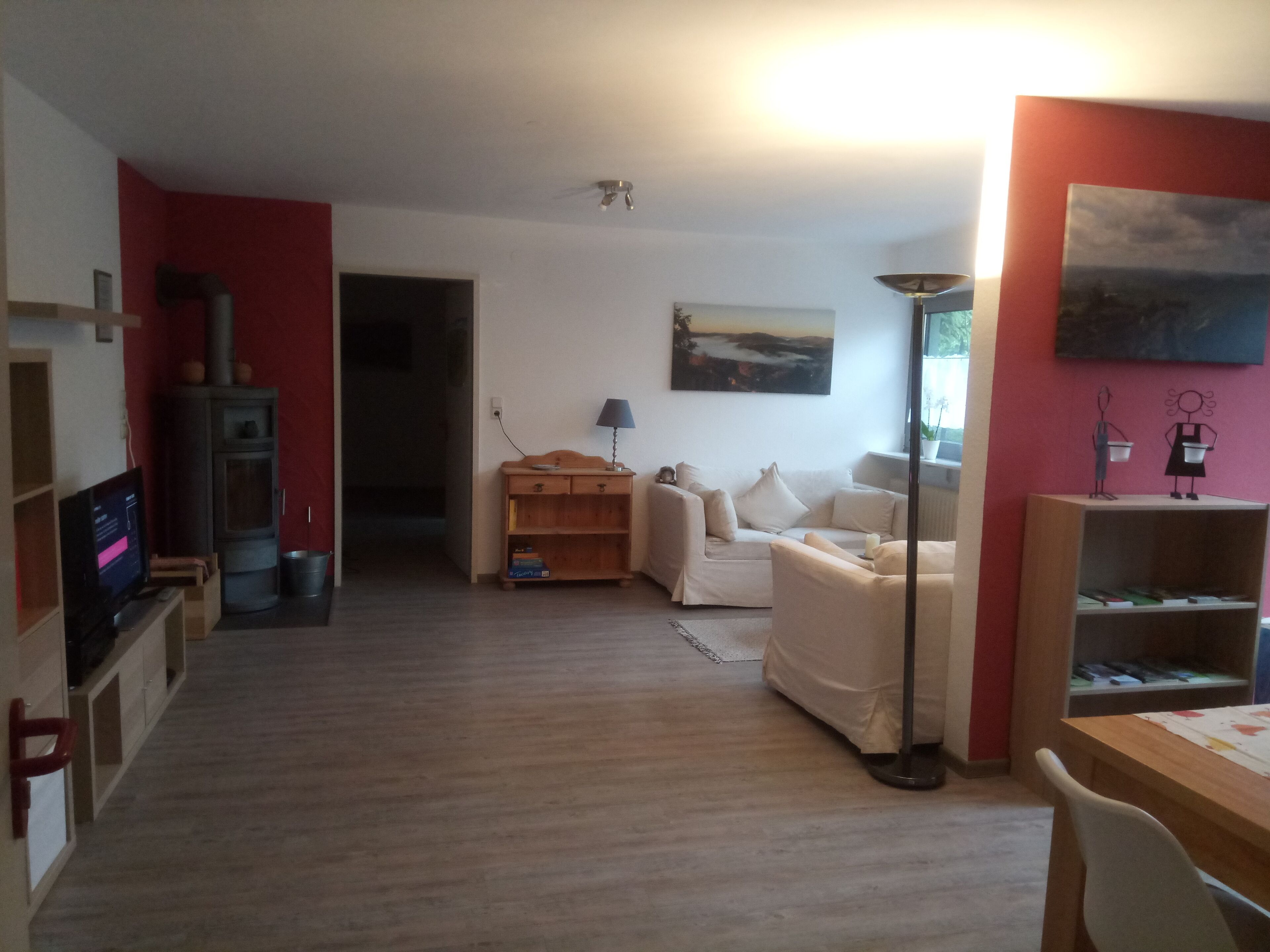 Sunny holiday Tawny Owl in the Palatinate Forest