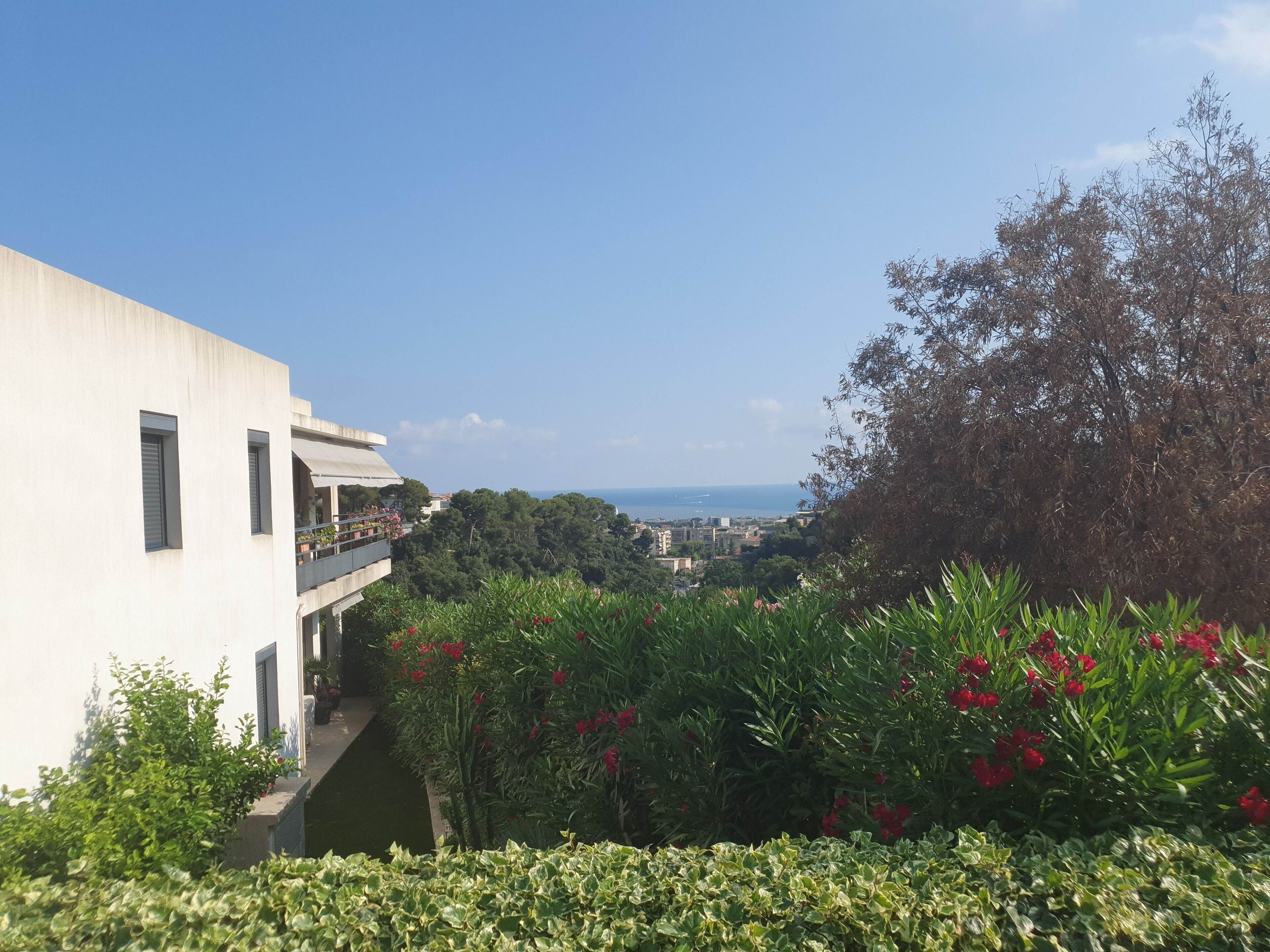 T3 sea view with swimming pool 