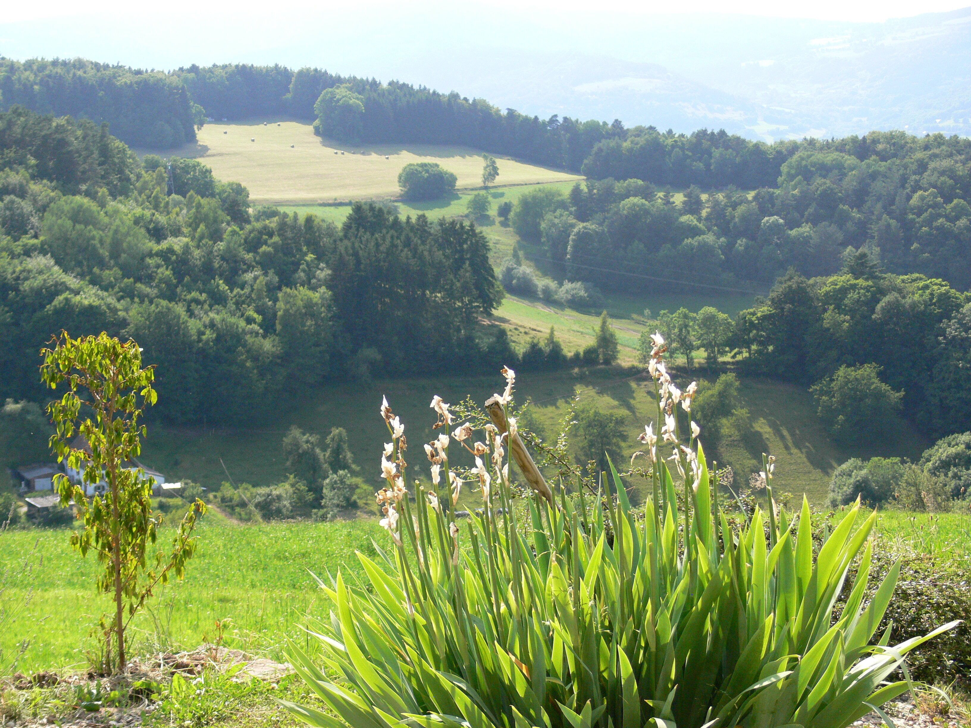 2 apartments with private terrace and mountain view