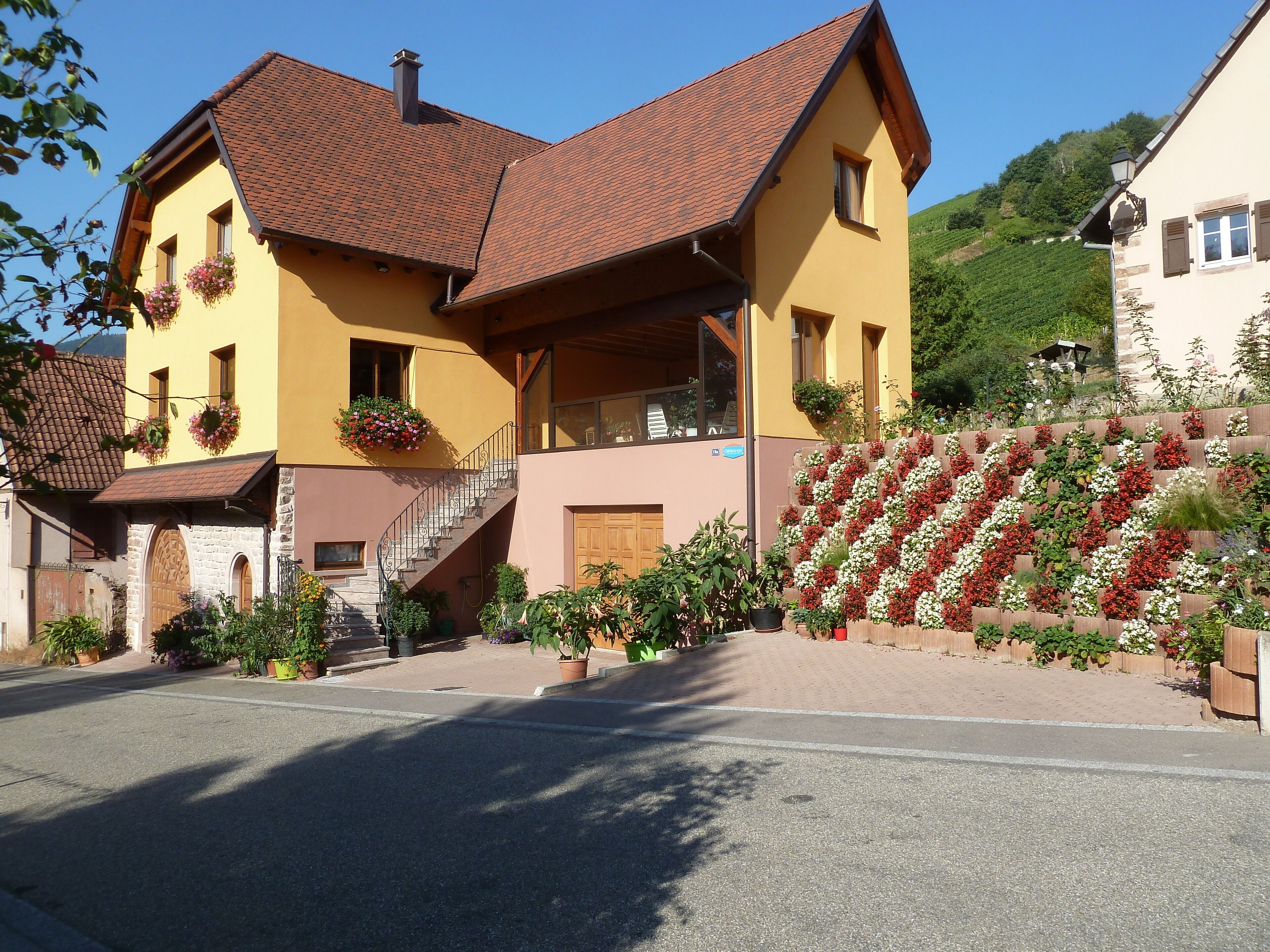 The Schieferberg in the heart of the vineyard