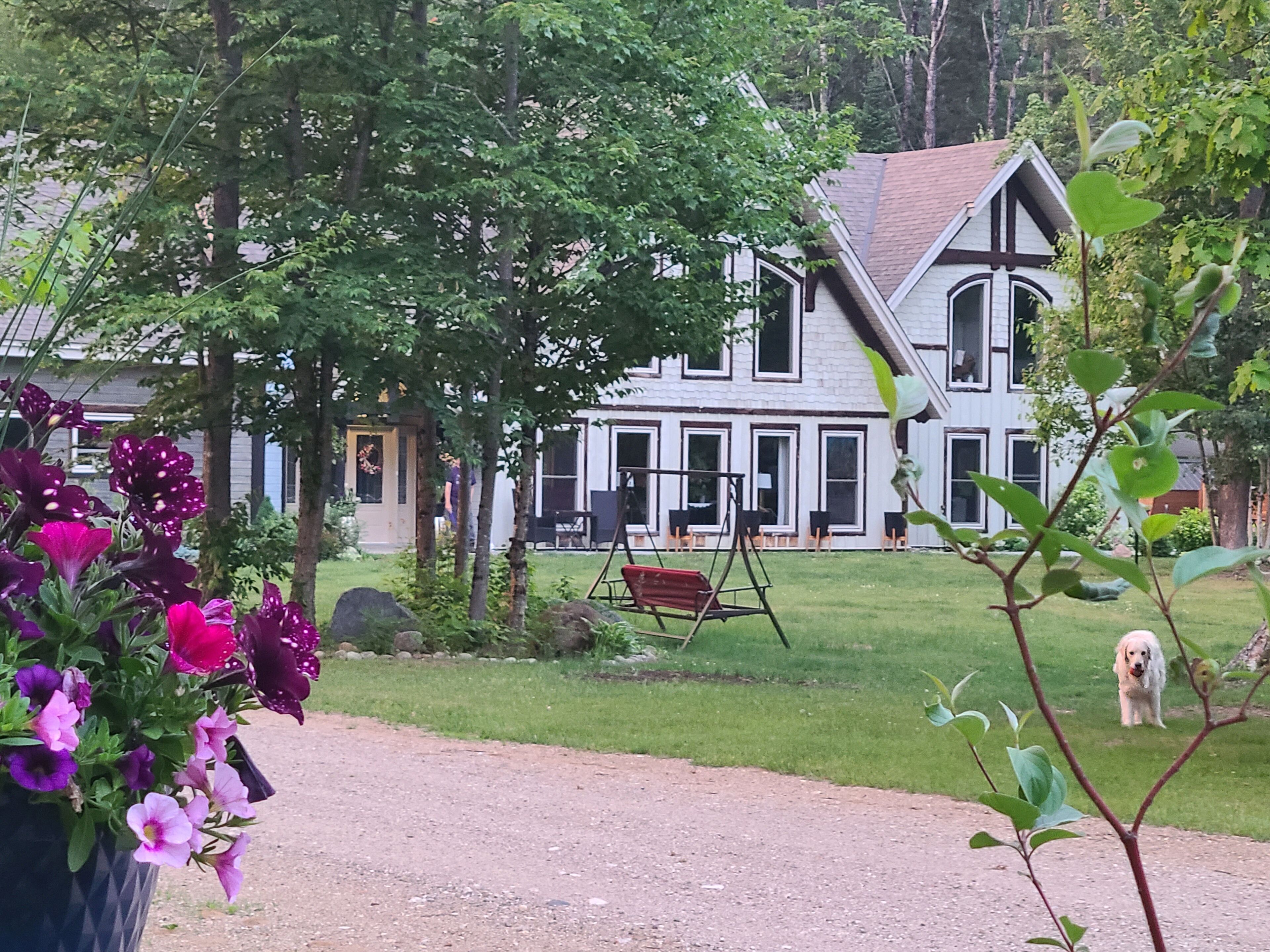 Un endroit pour se détendre, jouer et rêver! / A place to relax, play & dream! 