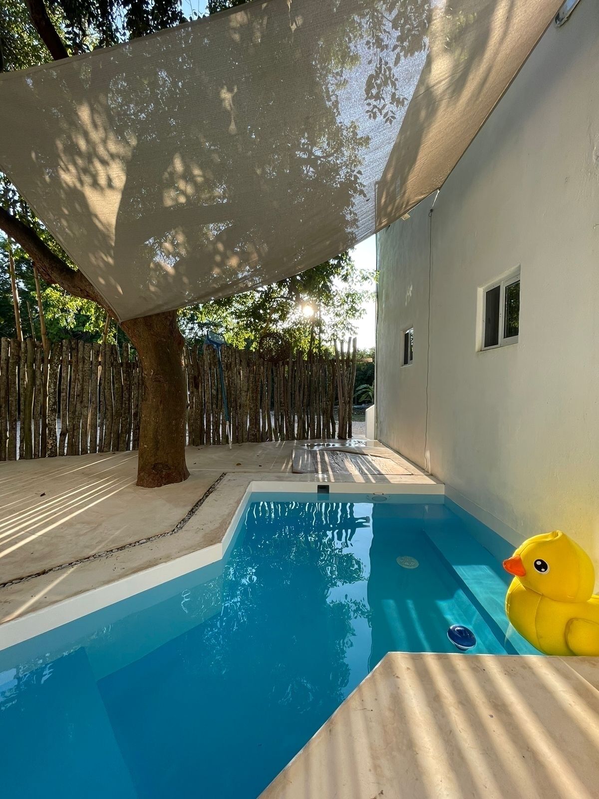 Nocturna Loft / apartment