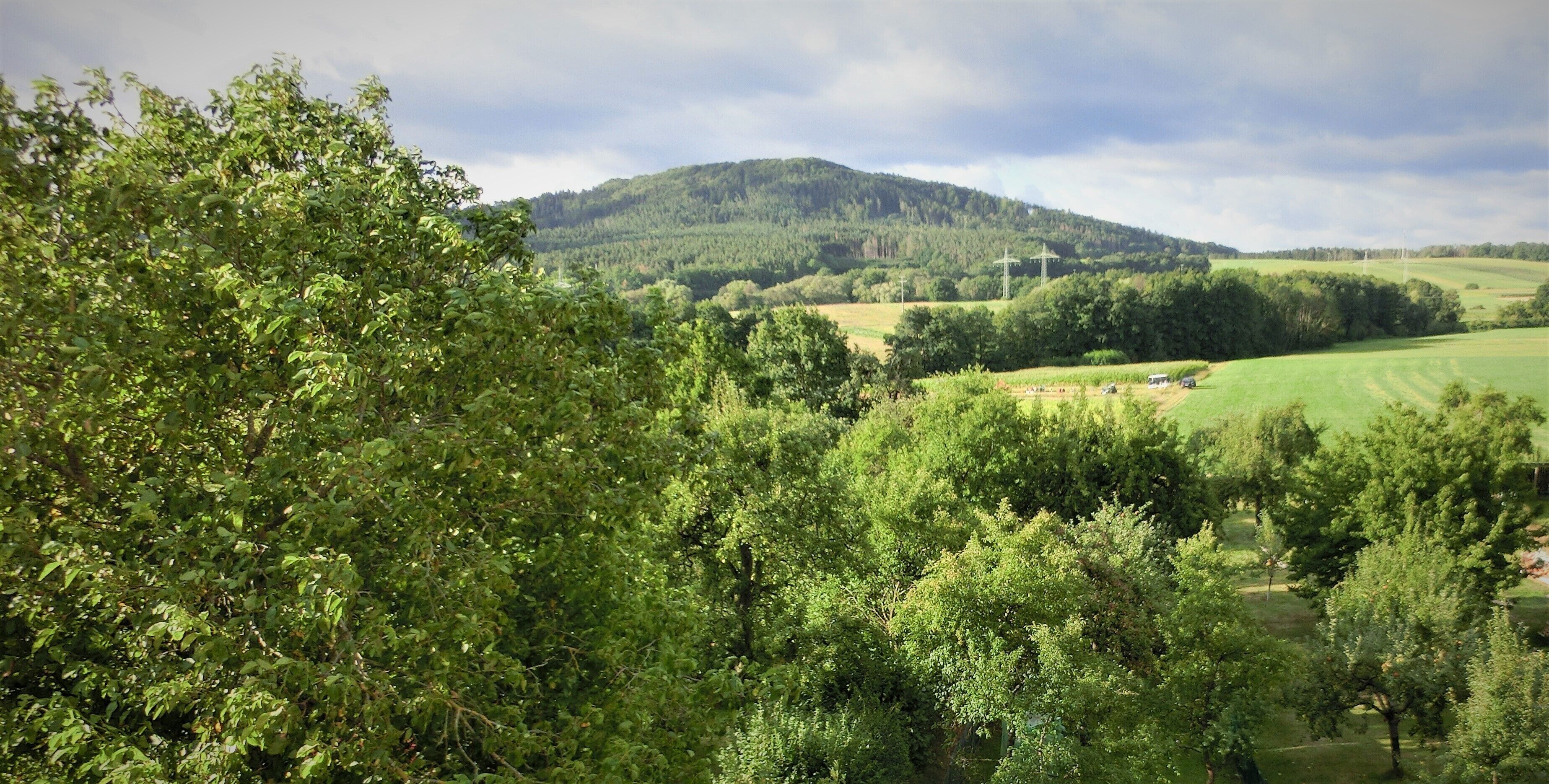 Holidays - trade fairs - craftsmen's apartments, pets welcome