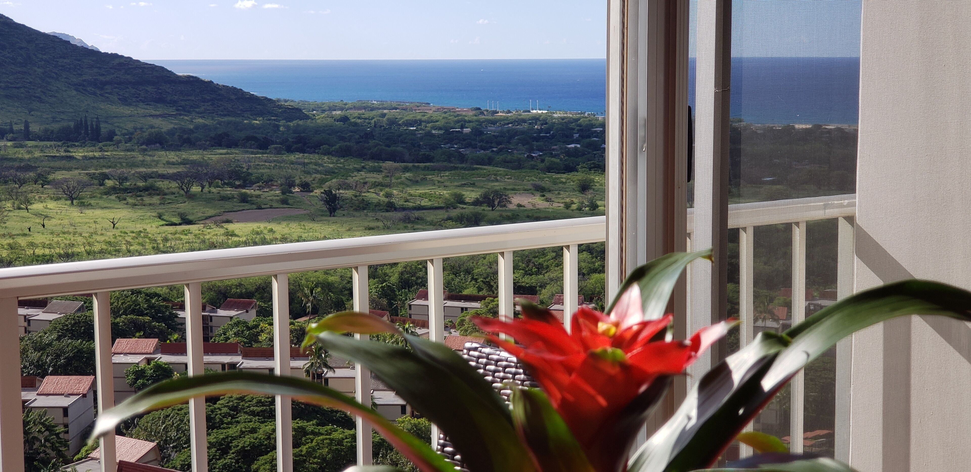 A tropical oasis.  Escape to the beauty and quietness of the Makaha Valley!