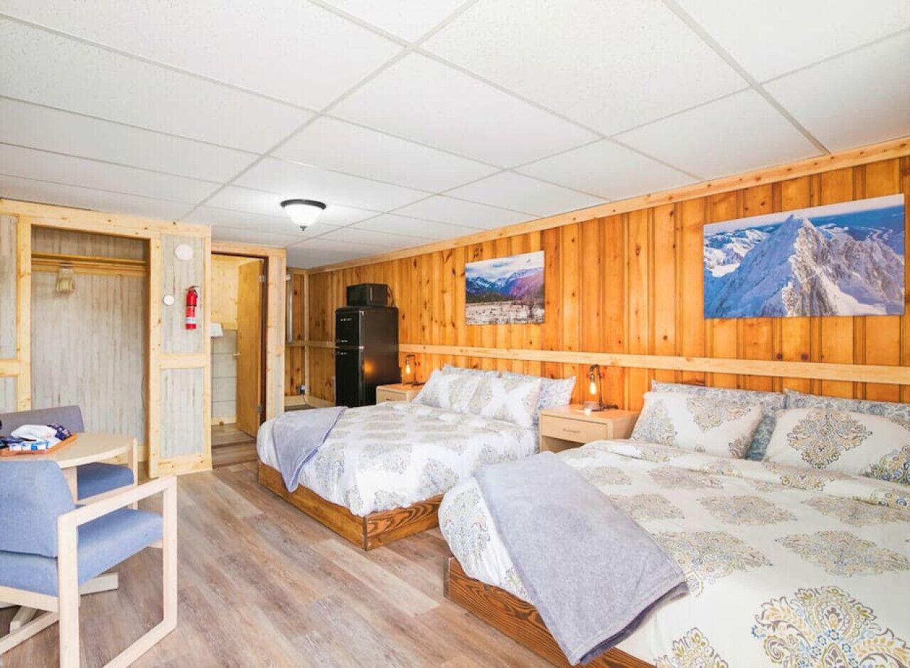 #4 Spacious Dog Friendly Cozy Motel Room Leadville