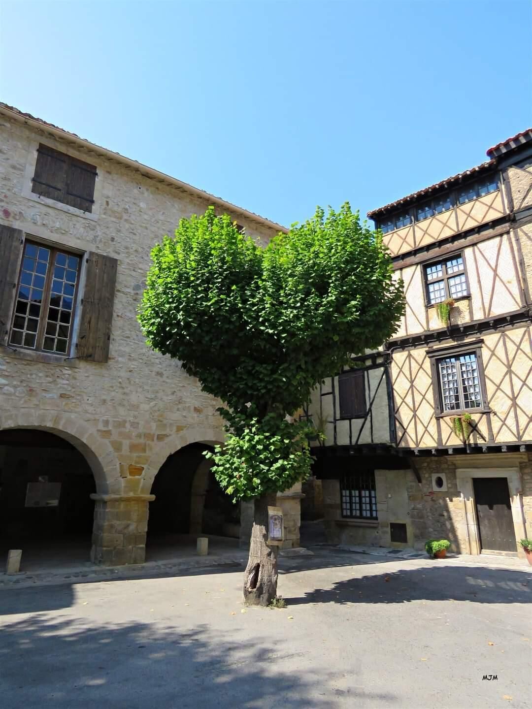 HOUSE OF NOSTRADAMUS *** UNUSUAL OCCITANIA