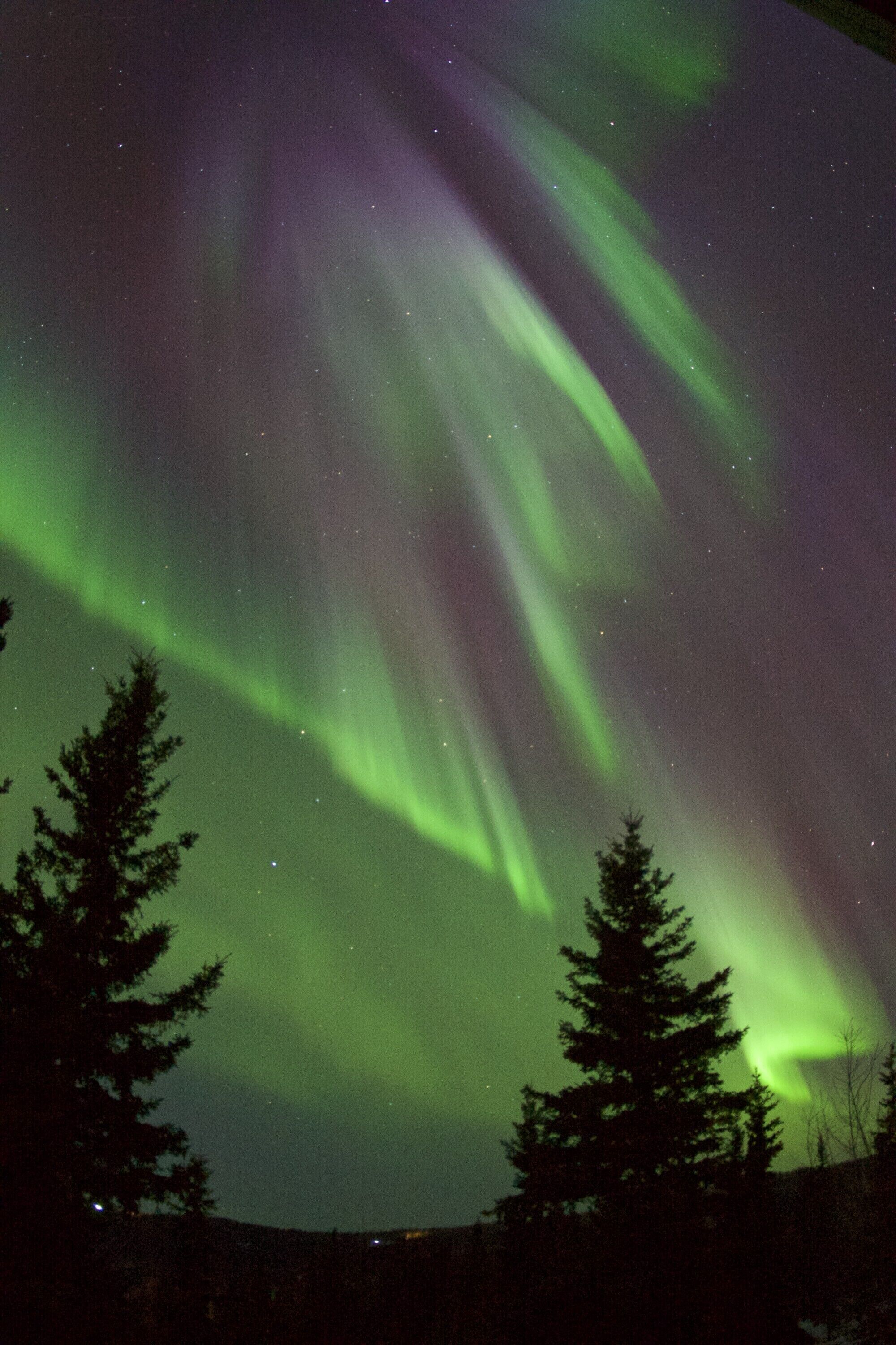 Next to Pioneer Park, Chena River, Carlson Center, and bus lines.