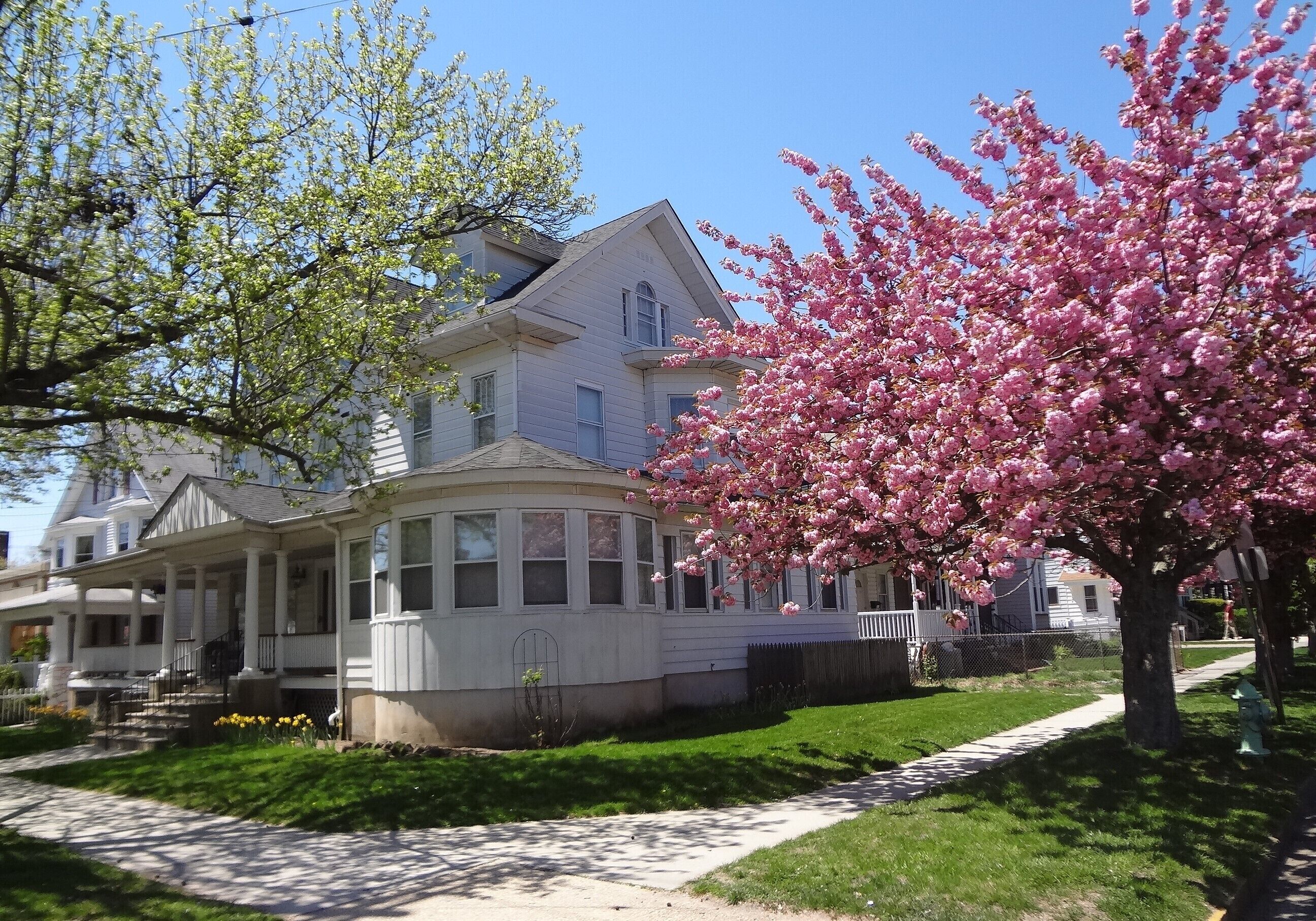 Great Apartment - Walk To The Beach
