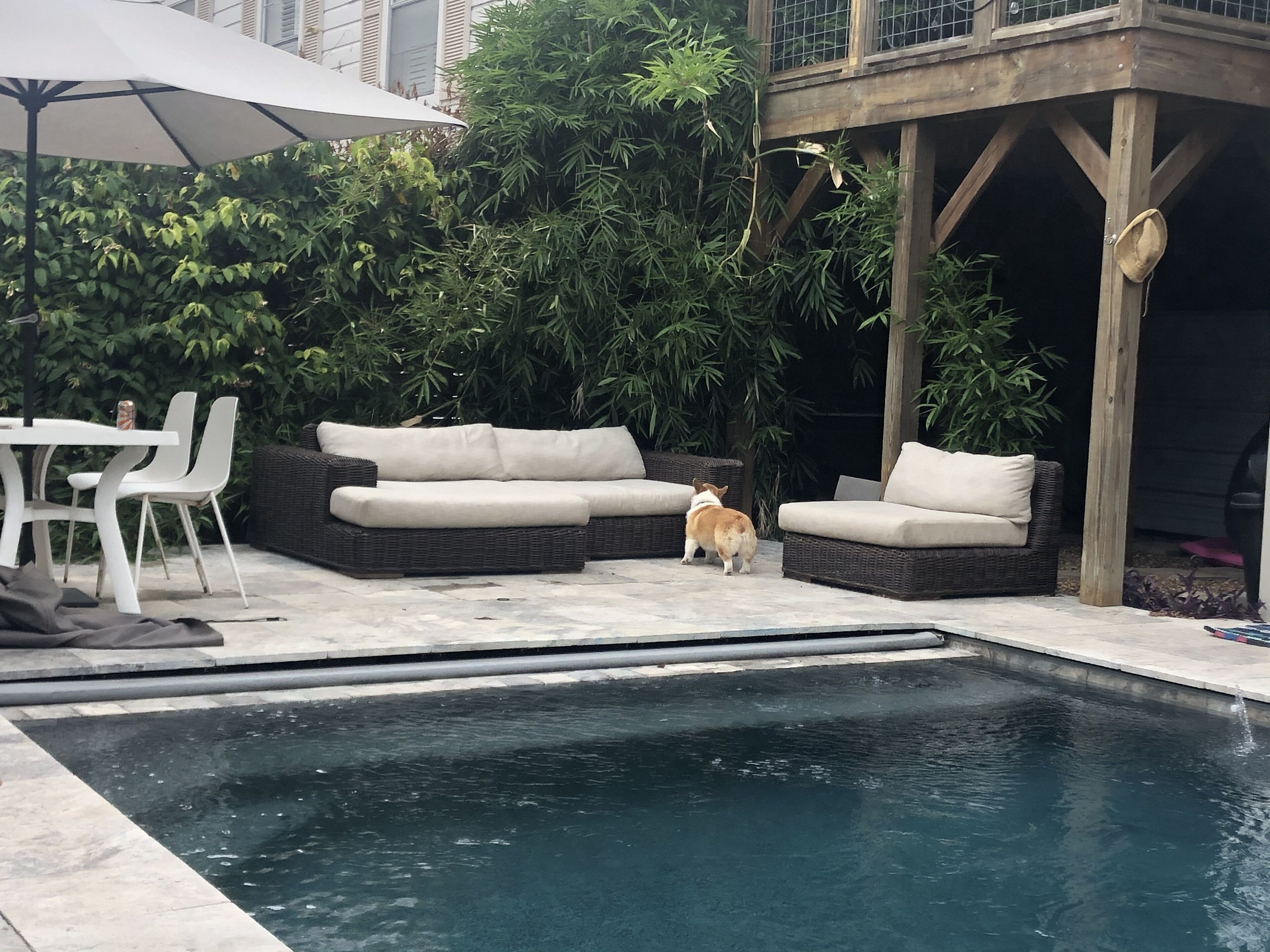 Small Oasis in the city <br>Pool and dog friendly🐾