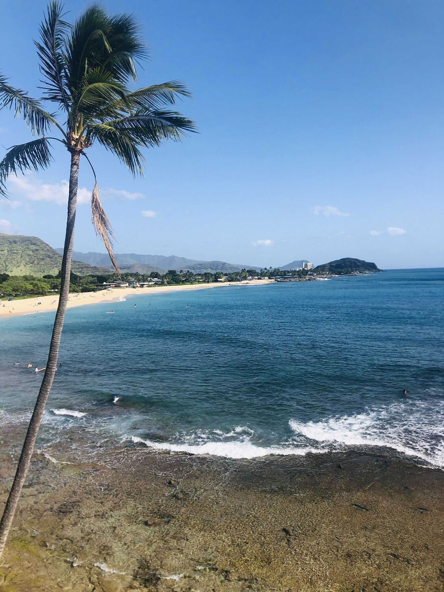 ❤️Absolutely Amazing Studio ❤️<br>Quiet oceanside of building. Fully renovated 2021