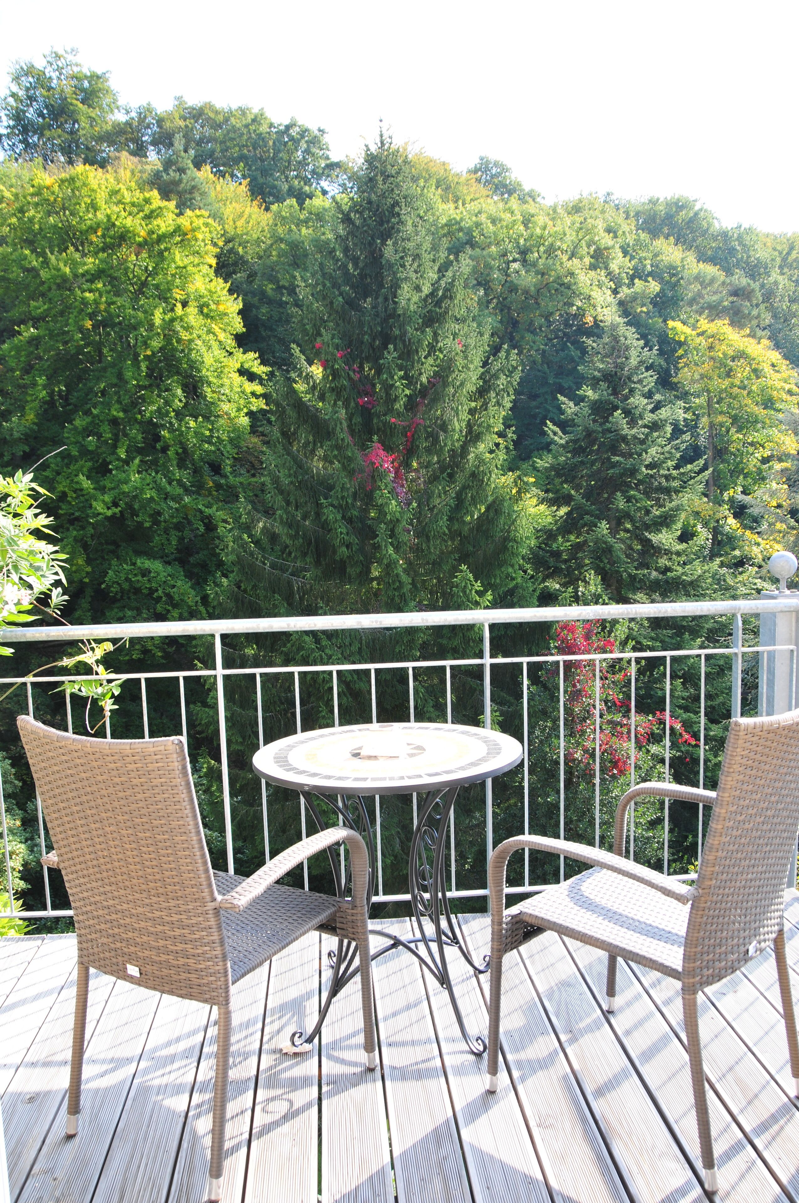 Dream view, balcony and close to nature