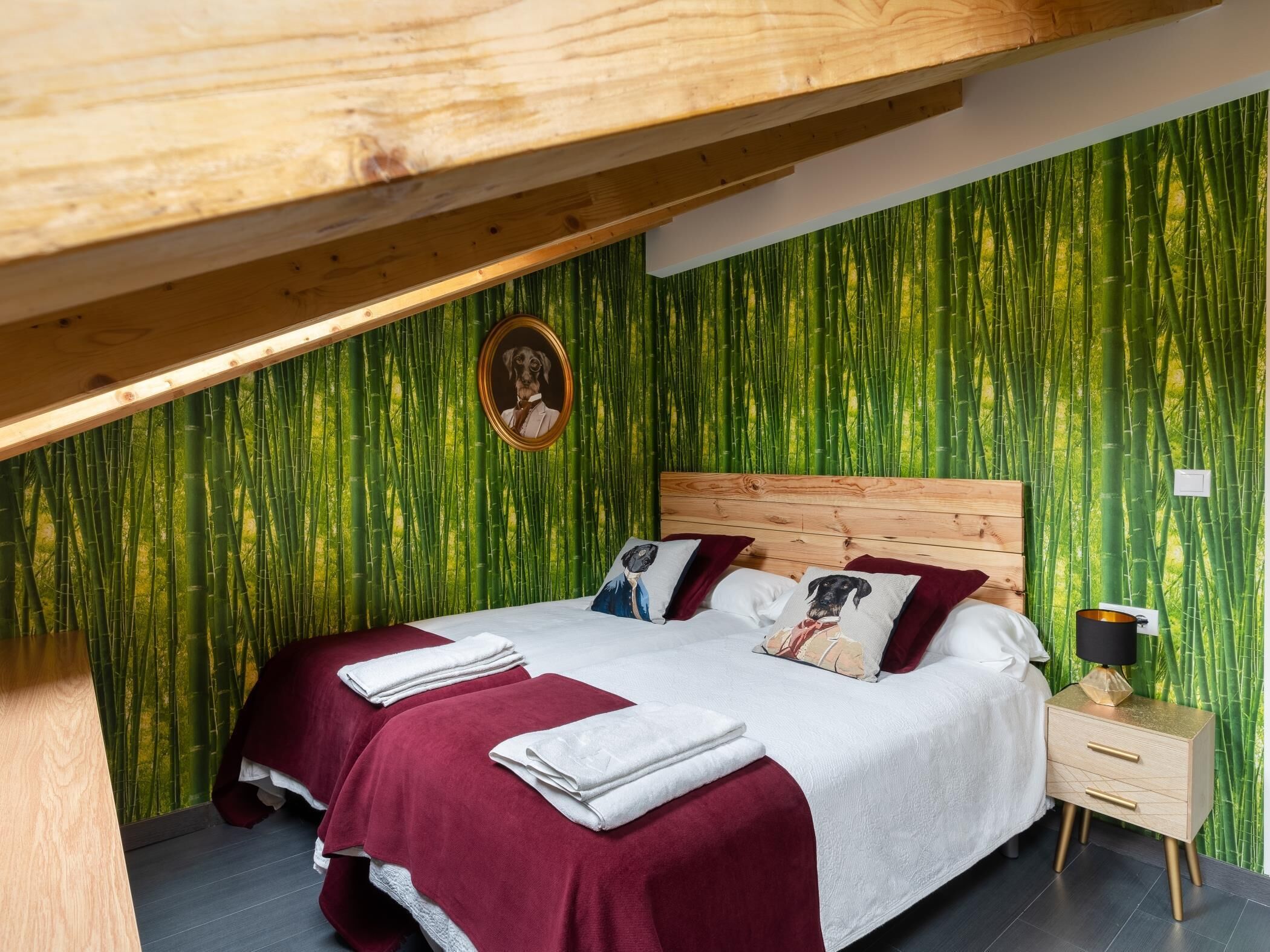 Housingleon- Five Rooms La Rúa