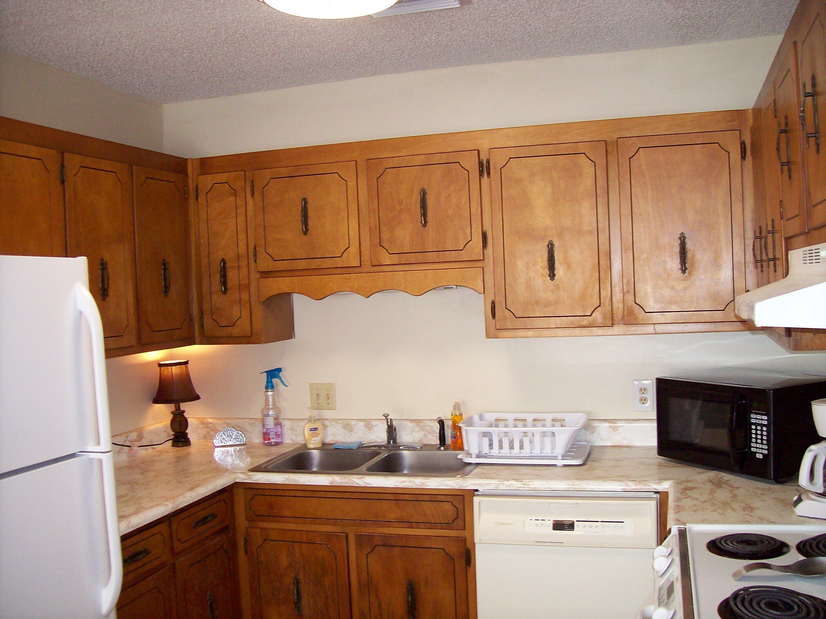 Basic Intown Apartment convenient to Beach and Town