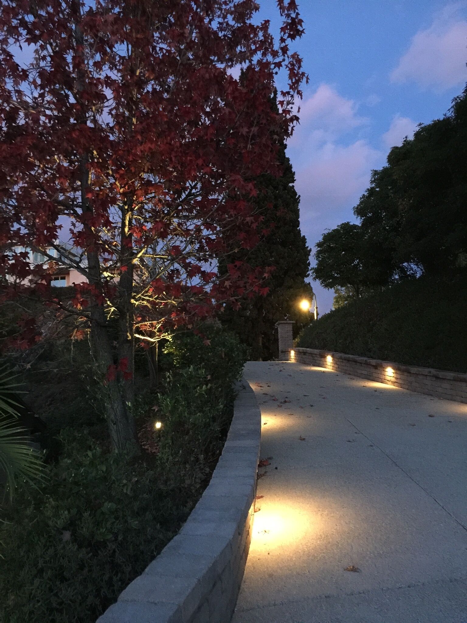 Pasadena Guest House near Rose Bowl