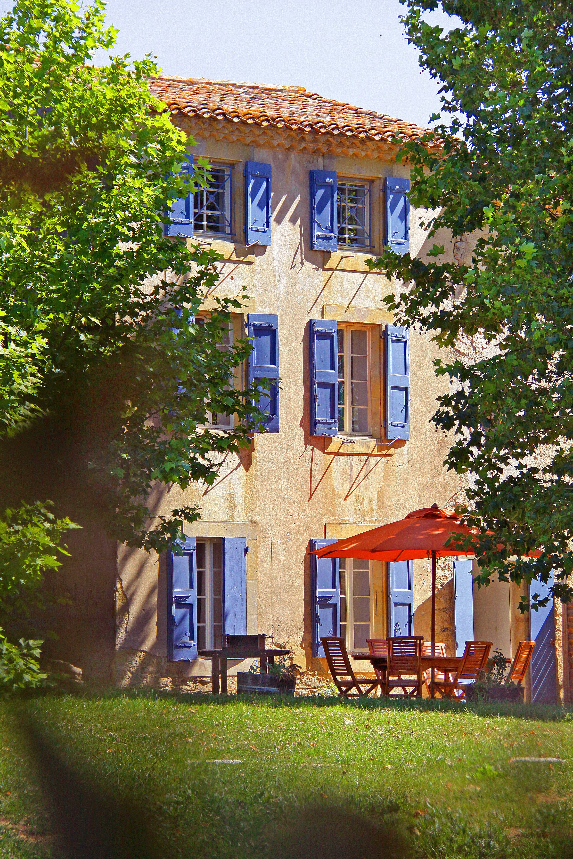 Domaine de Garille - The Vines