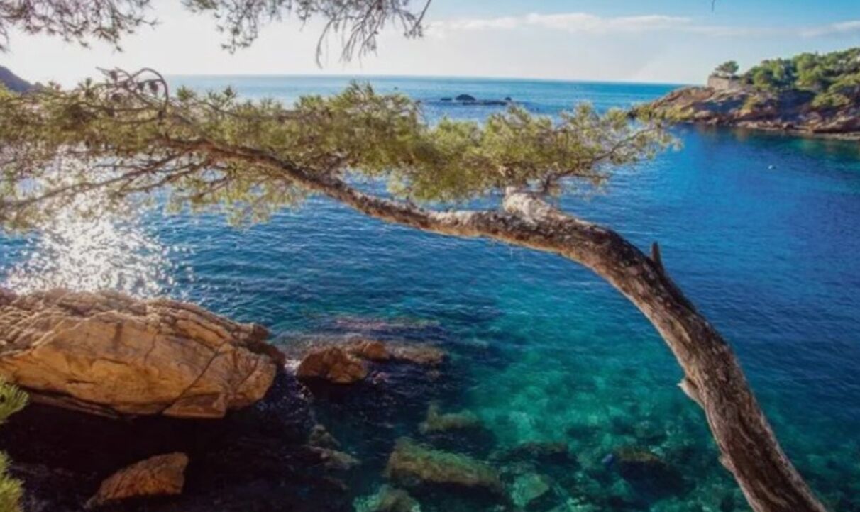 IN THE HEART OF THE CALANQUE DE FIGUIÈRES