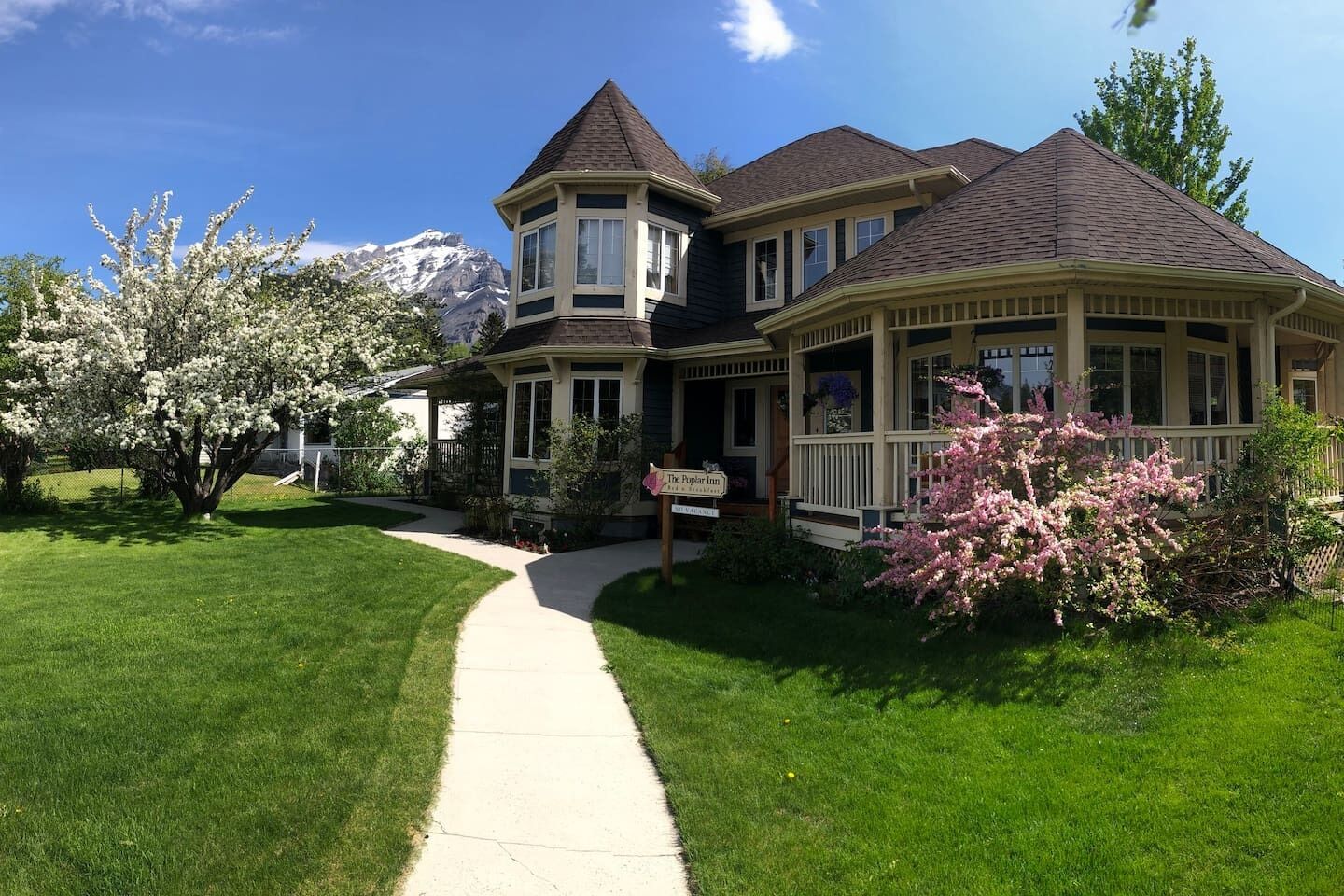 Larch Room in Banff National Park