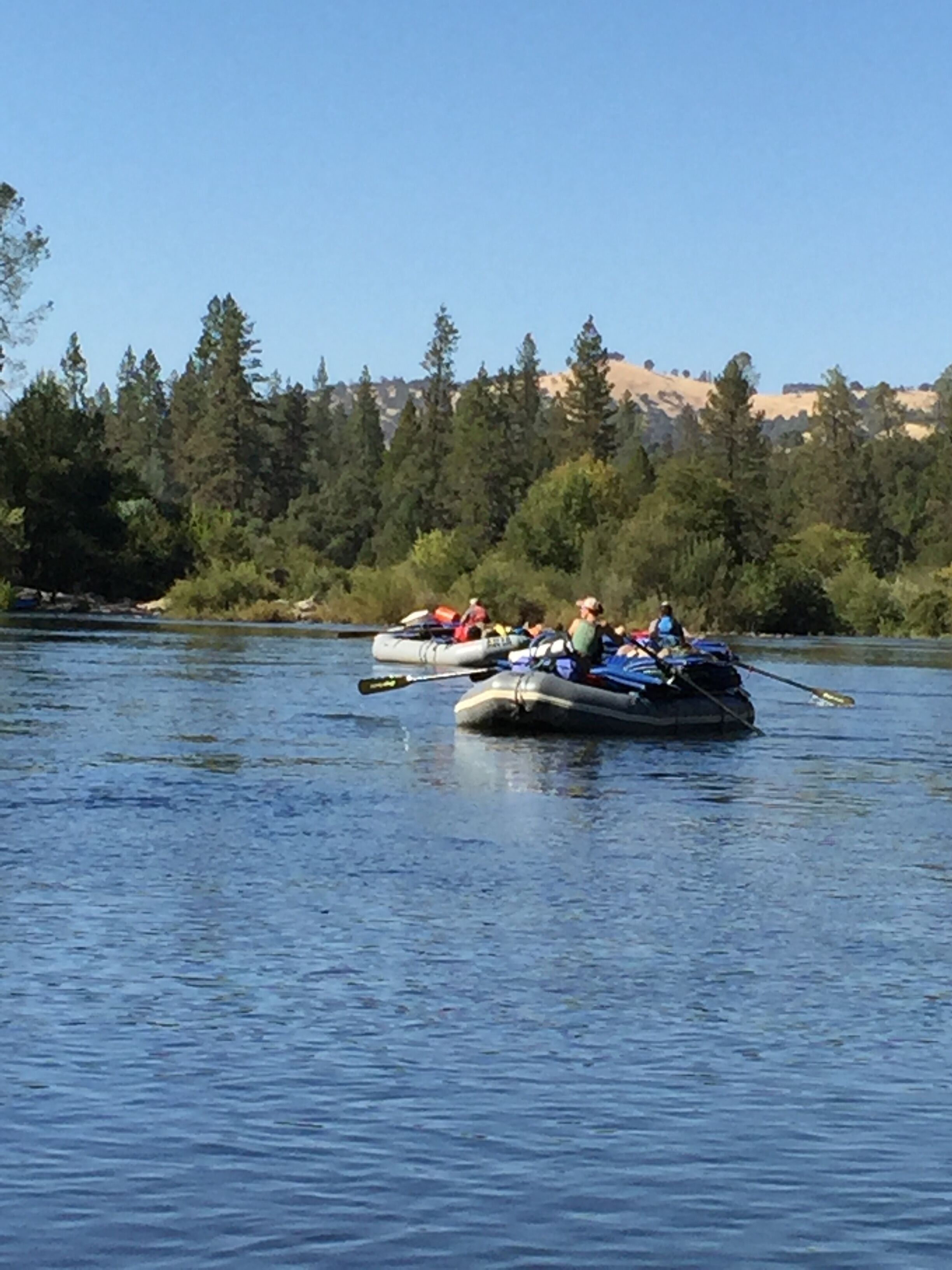 Whitewater Boaters' Delight...Studio very near the South Fork American River.