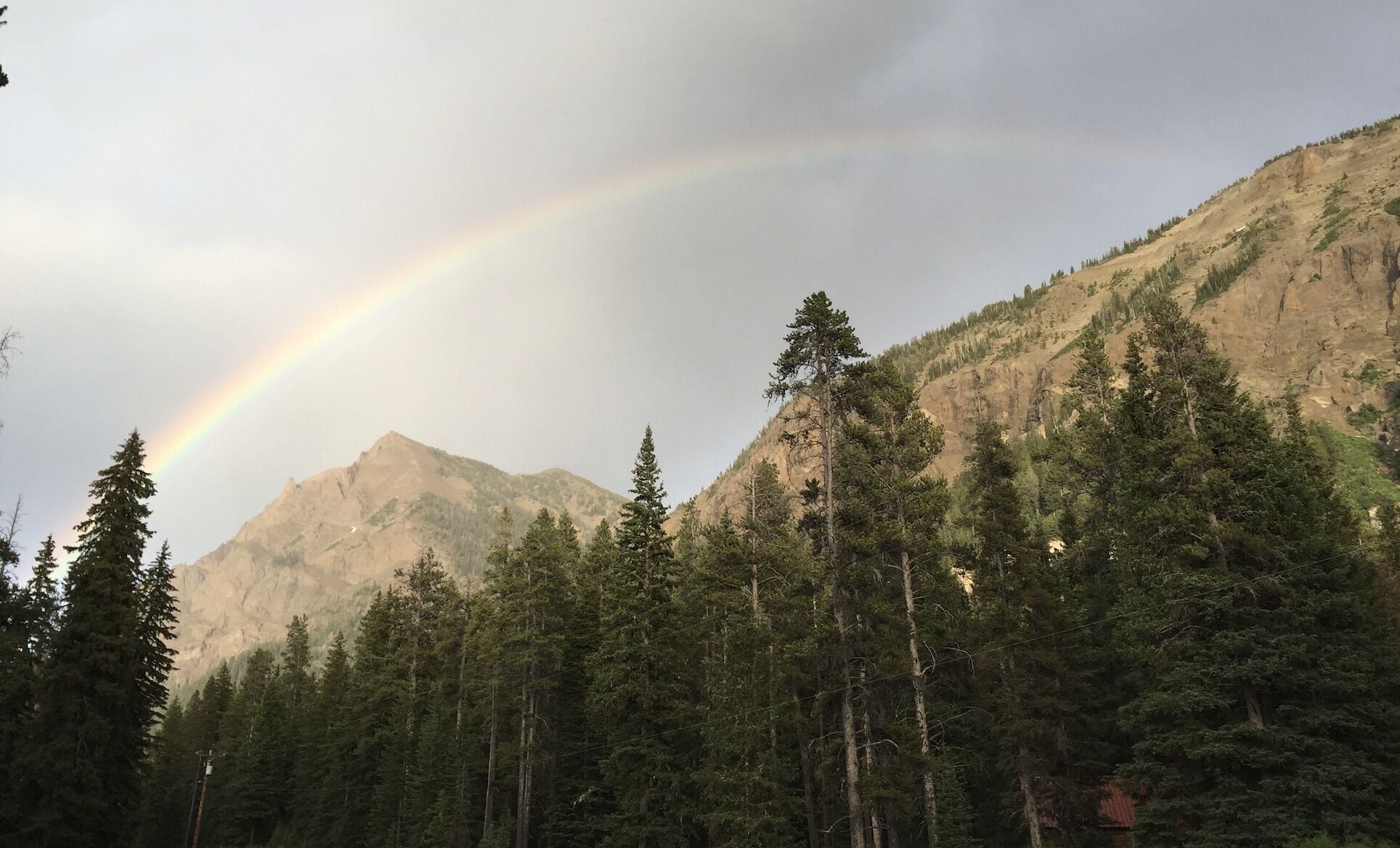 Twisted Twig Studio: Family trips to Yellowstone are great!