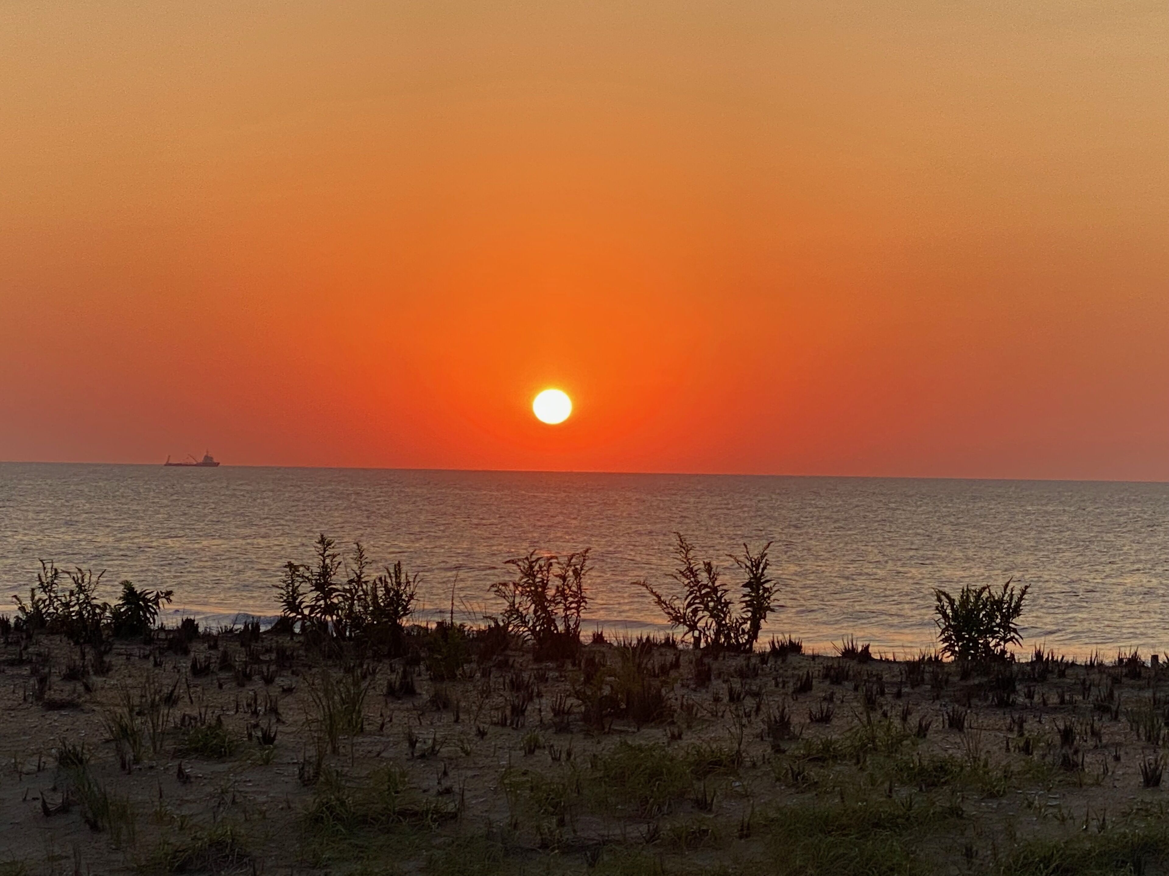 Direct Oceanfront condo in the heart of Beach Haven, Long Beach Island!