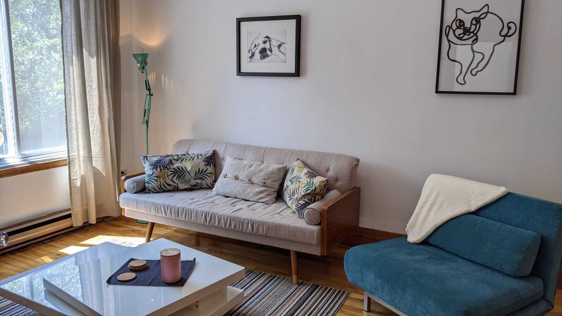 Grand 3 Chambres Villeray Lumineux Cosy et Soigné