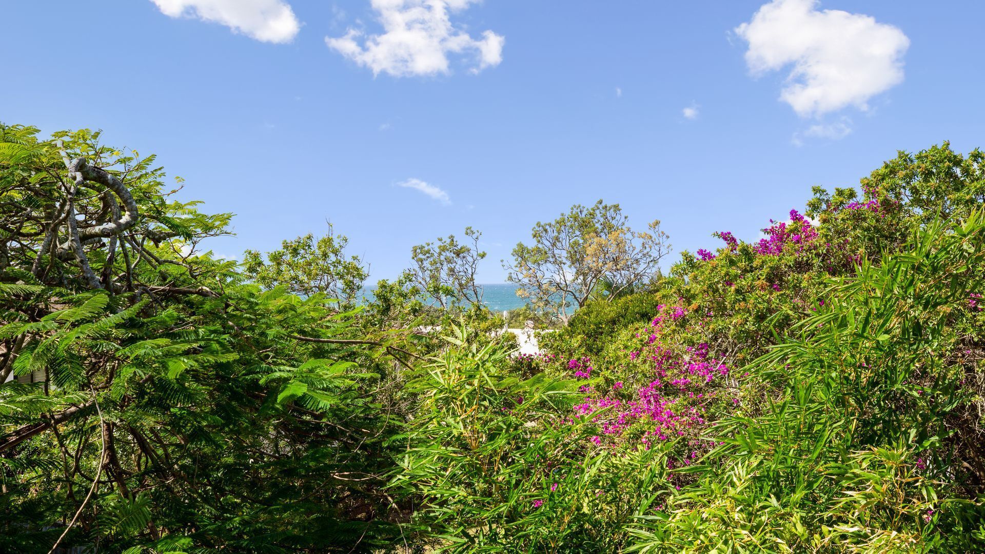 Villa Vista - 1/240 David Low Way