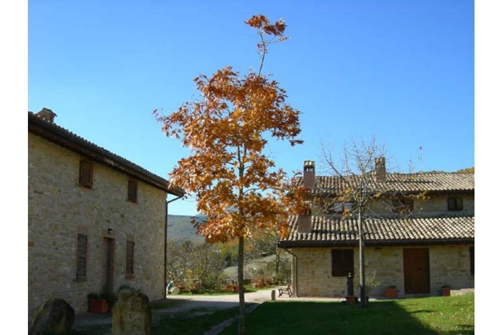 Vrbo Property