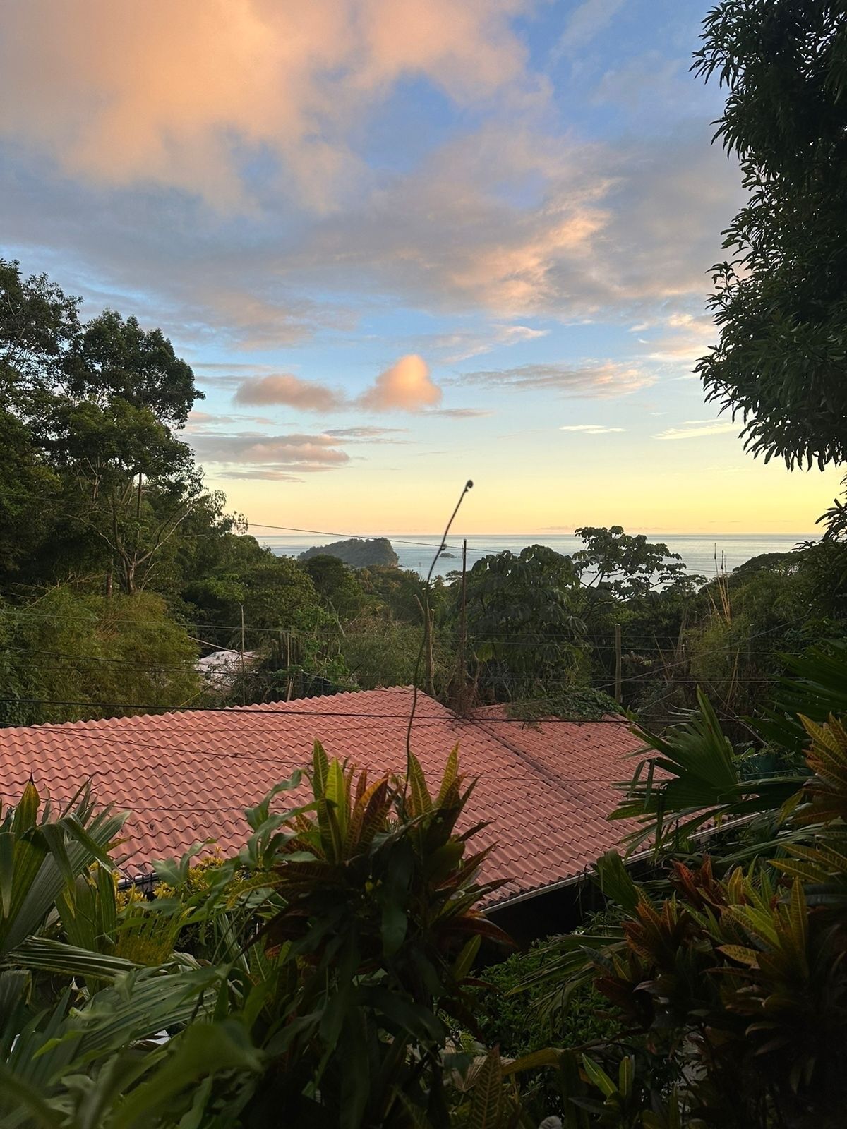 Paradise Awaits! Beach Bliss & Wildlife Thrills – Only 10 Minutes Away!