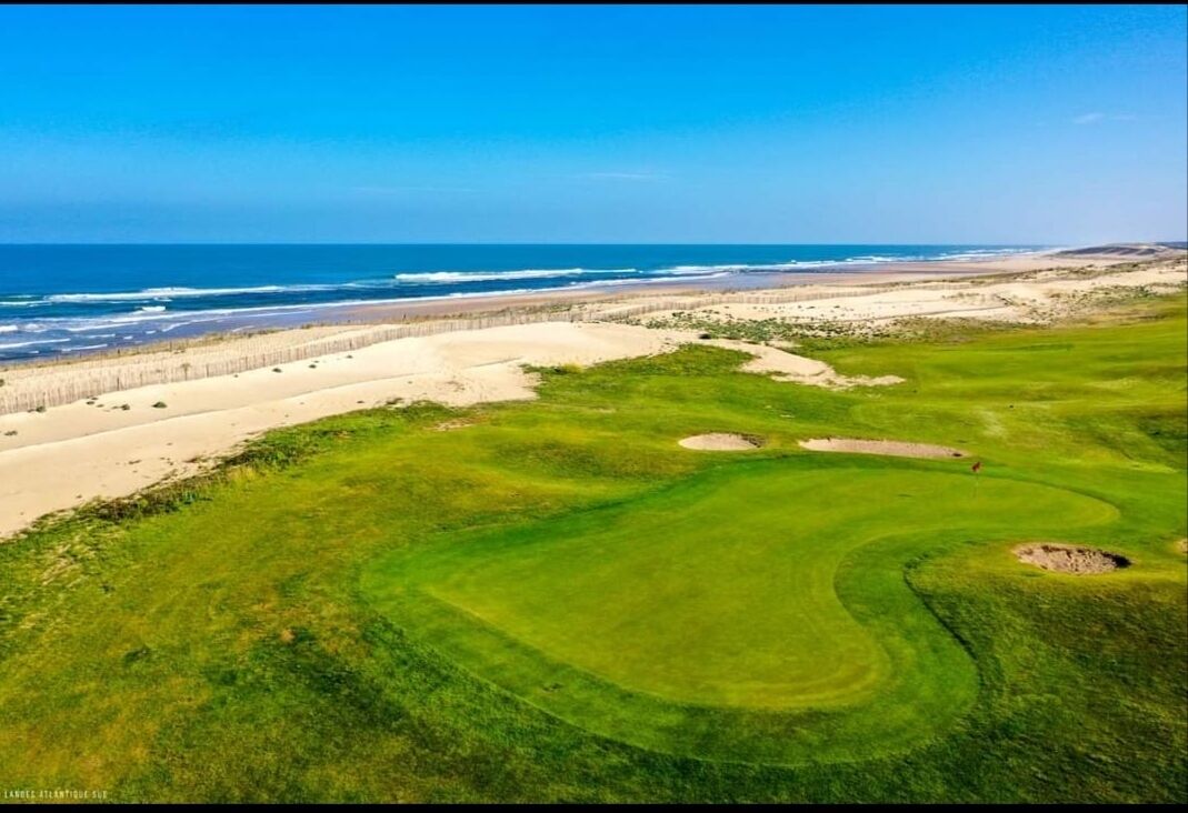 Cozy and bright apartment 