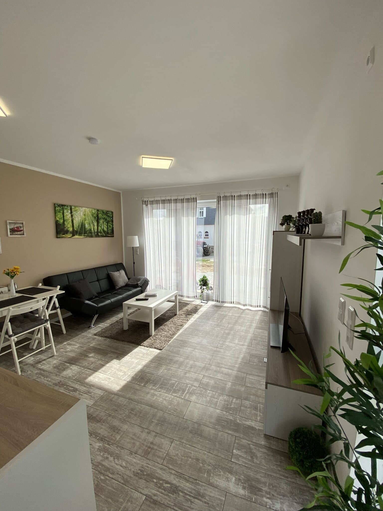 luxurious apartment with terrace 
