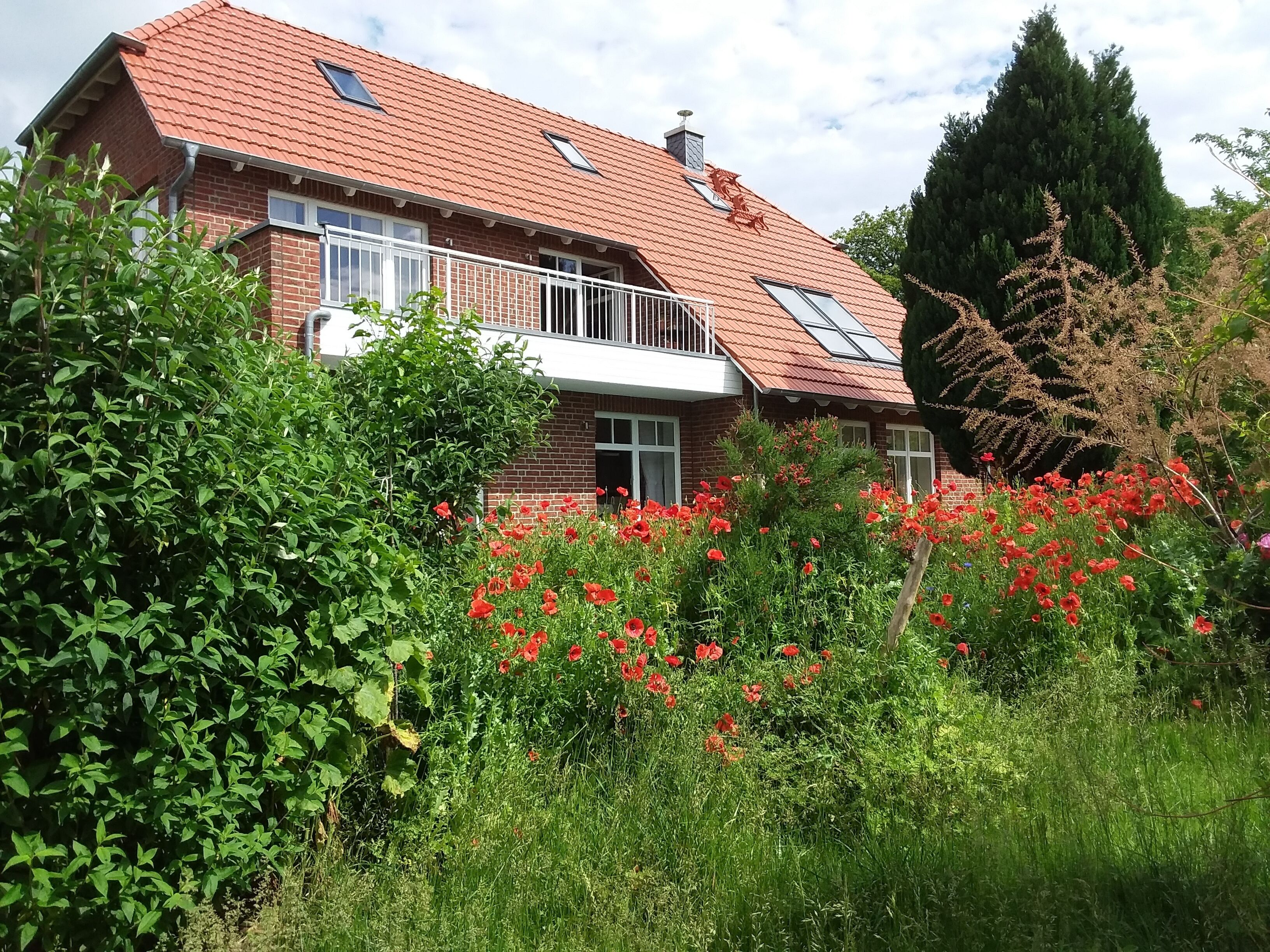 Centrally located, quiet apartment with terrace and garden