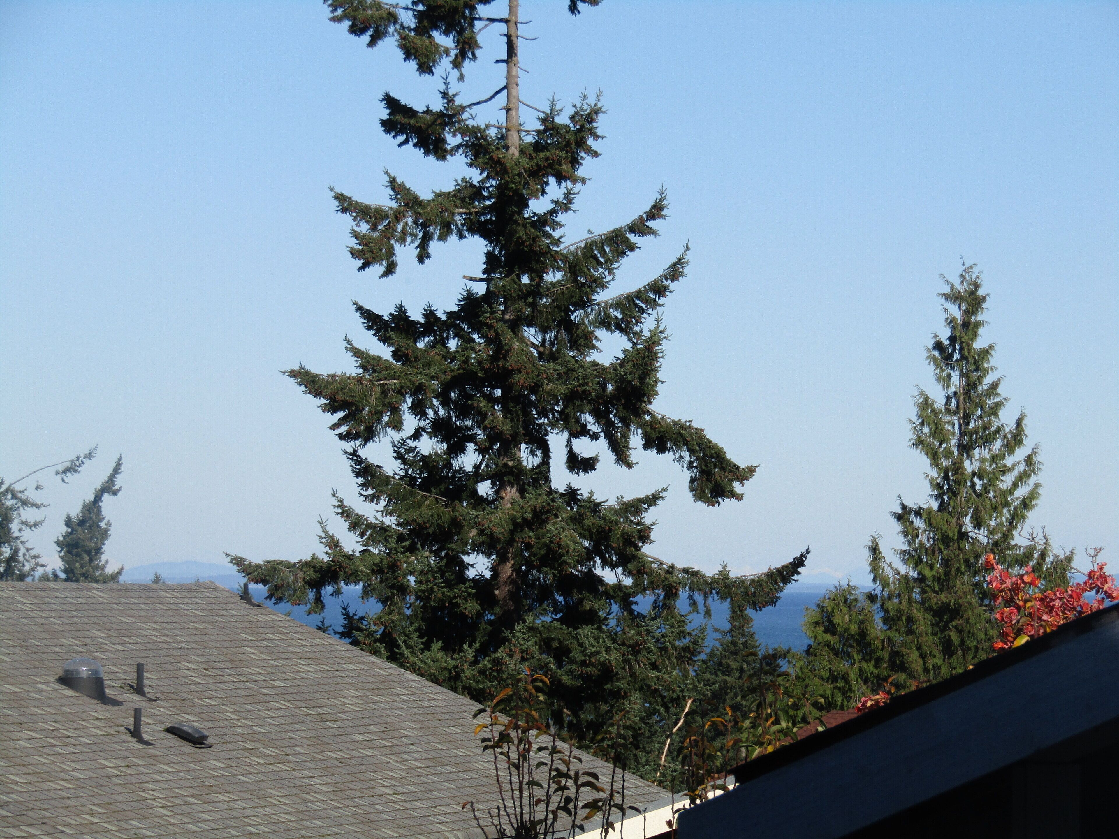 Peek a View, Fresh and New!