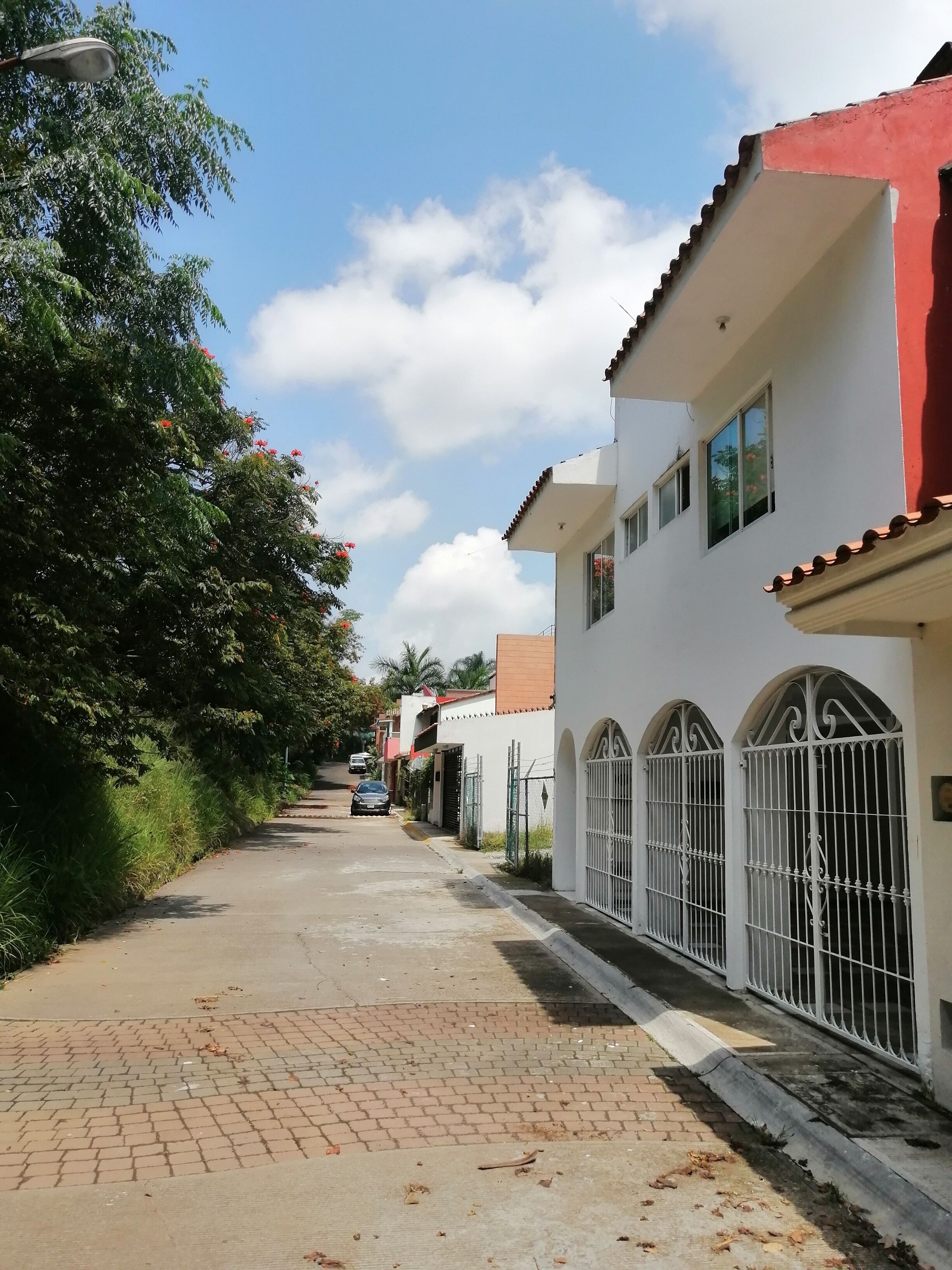Hermoso departamento amueblado 